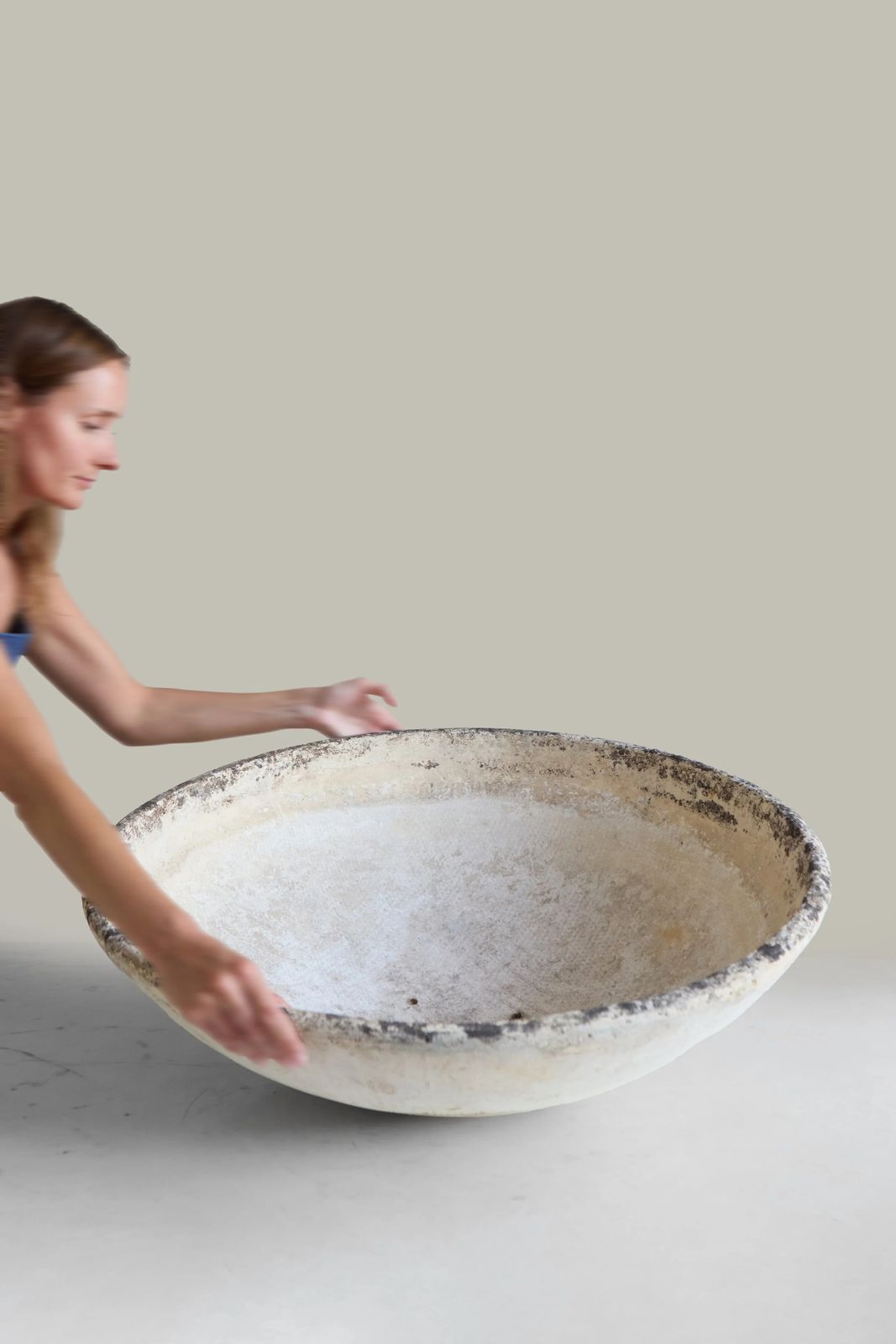 Large Saucer Planter, Willy Guhl photo 400.0