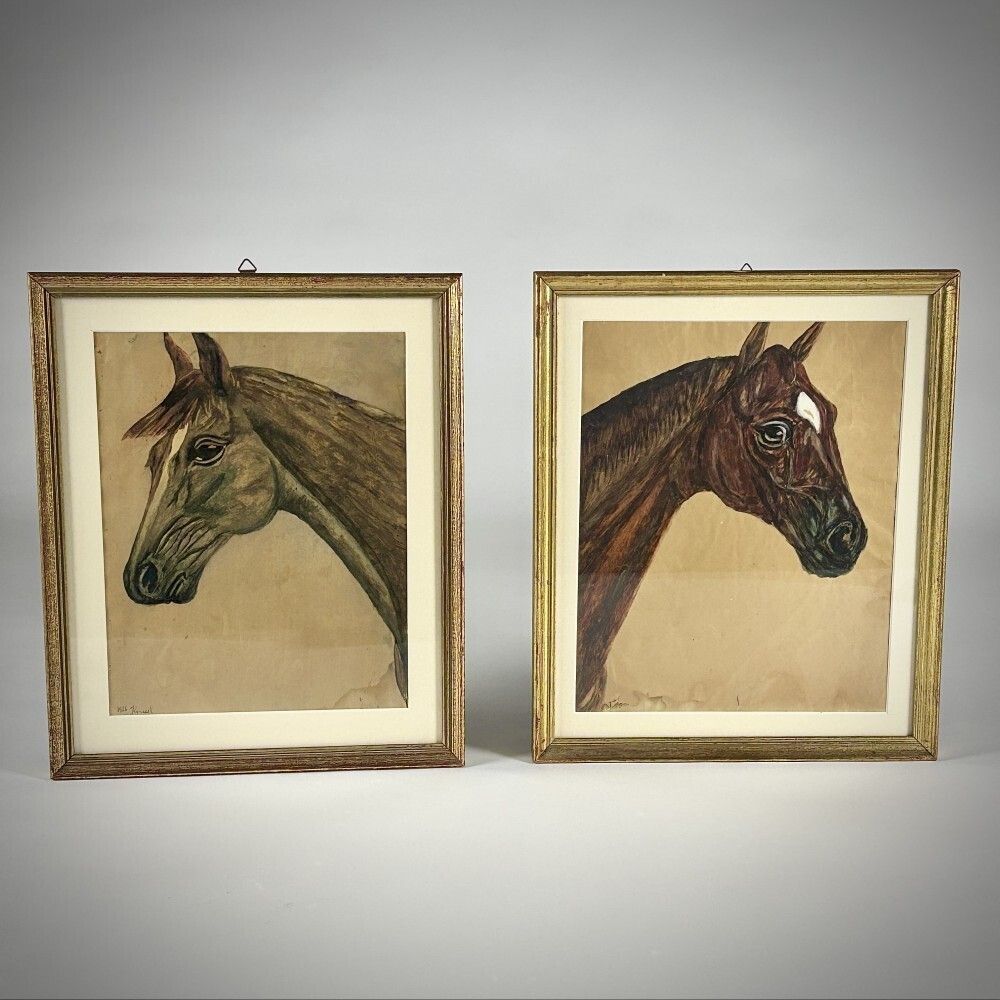 Pair Of Early 20th Century Horse Portraits
