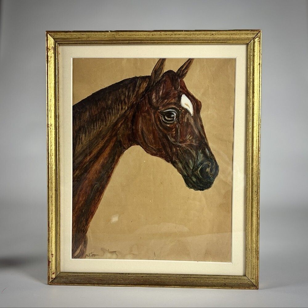 Pair Of Early 20th Century Horse Portraits photo Art
