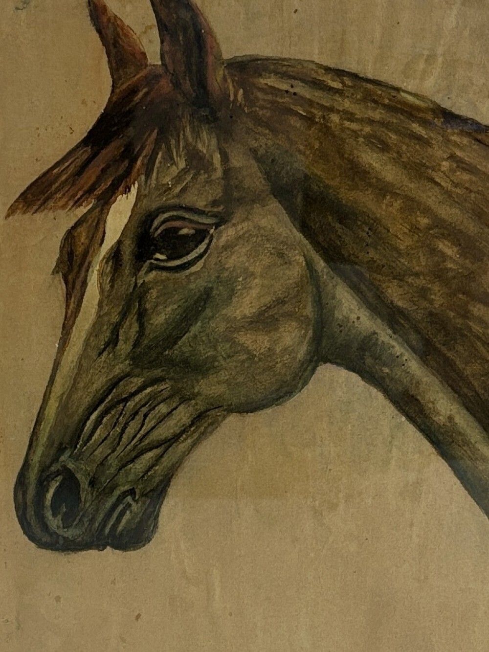 Pair Of Early 20th Century Horse Portraits photo vinterior