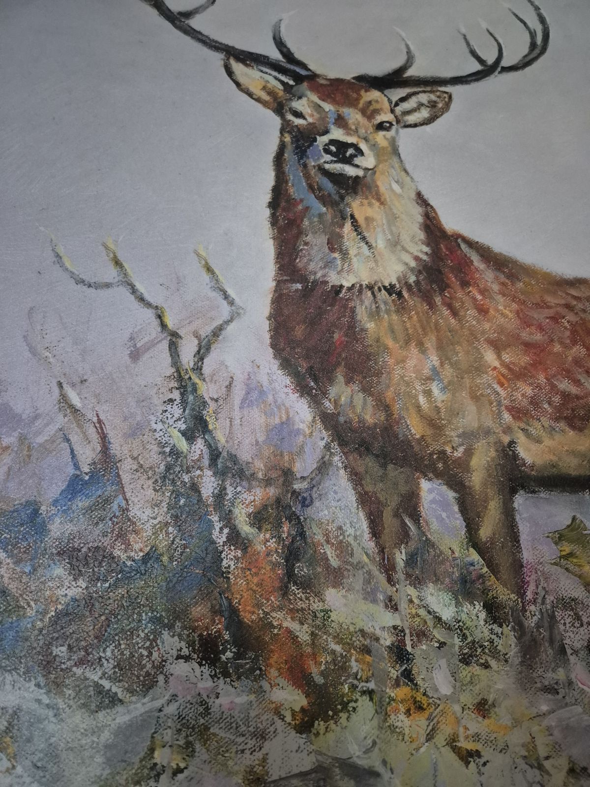 John Taylor The Monarch Of The Glen photo for sale