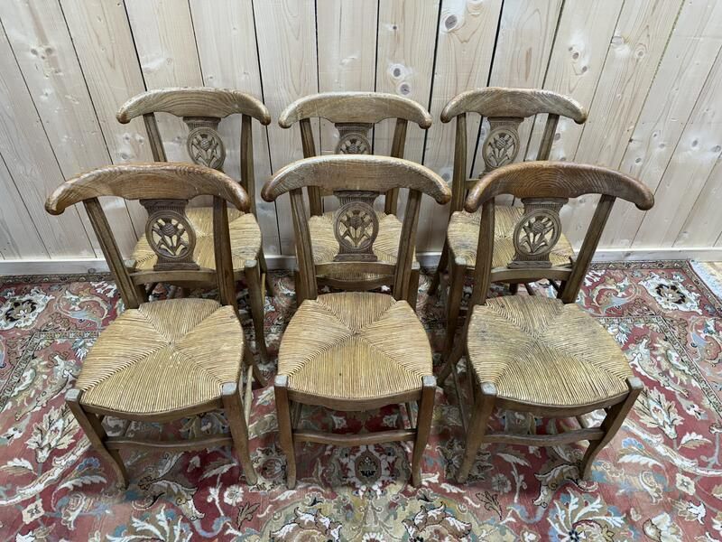 Suite De 6 Chaises Paillées Provençales En Chêne Massif. photo furniture