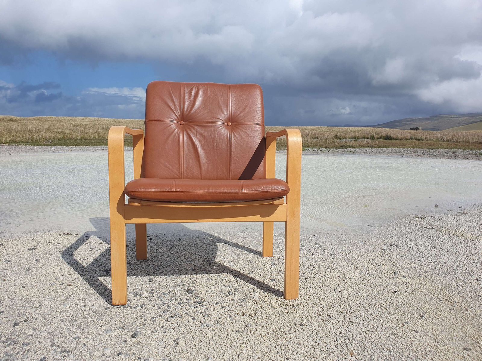 Yngve Ekstrom For Skandi Form, Sweden. A Bentwood Armchair With Leather Upholstered Pads. photo furniture