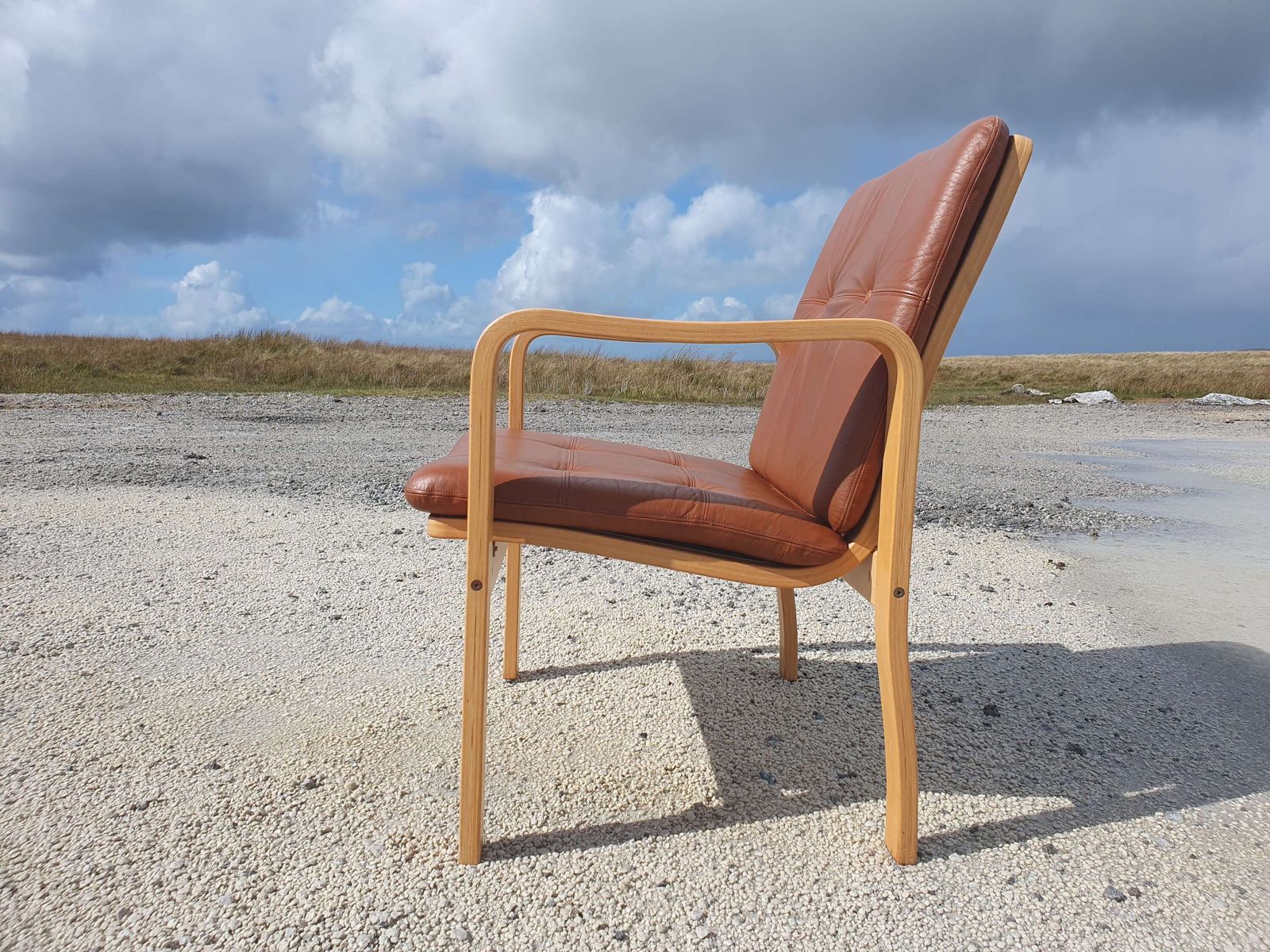 Yngve Ekstrom For Skandi Form, Sweden. A Bentwood Armchair With Leather Upholstered Pads. photo buy