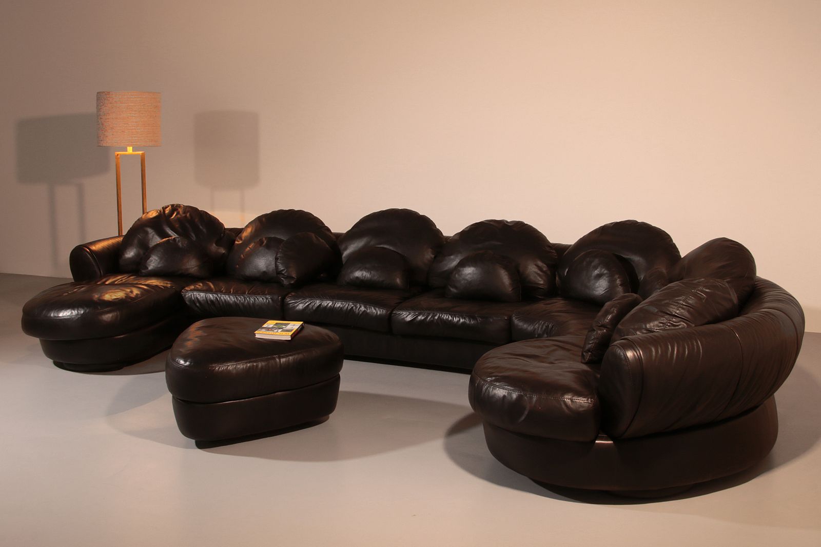 photo furniture Organically Shaped Post Modern Sectional Sofa In Black Leather