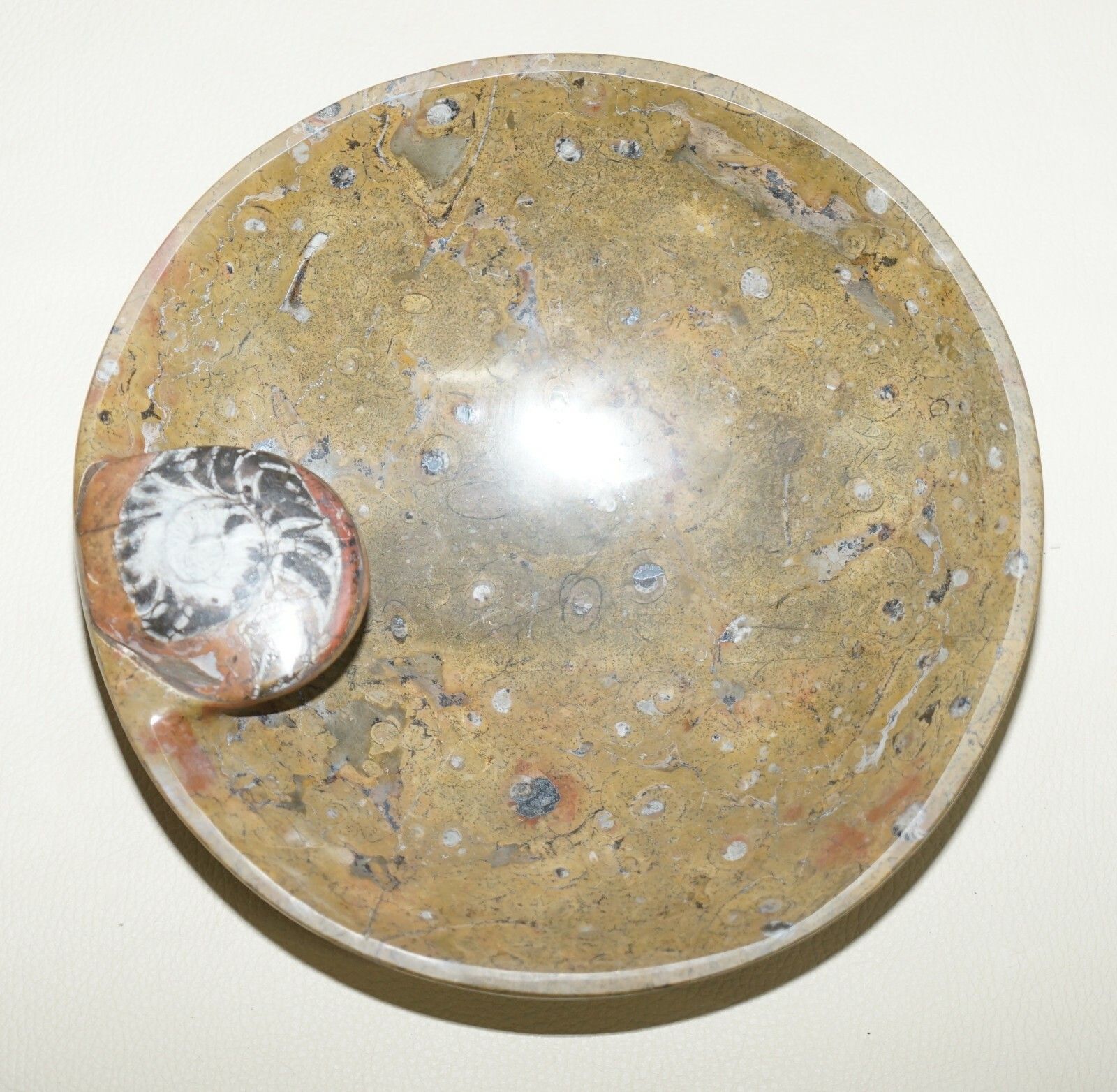 1 Of 4 Sublime Moroccan Ammonite Atlas Mountains Fossil Bowls Marble Finish photo for sale