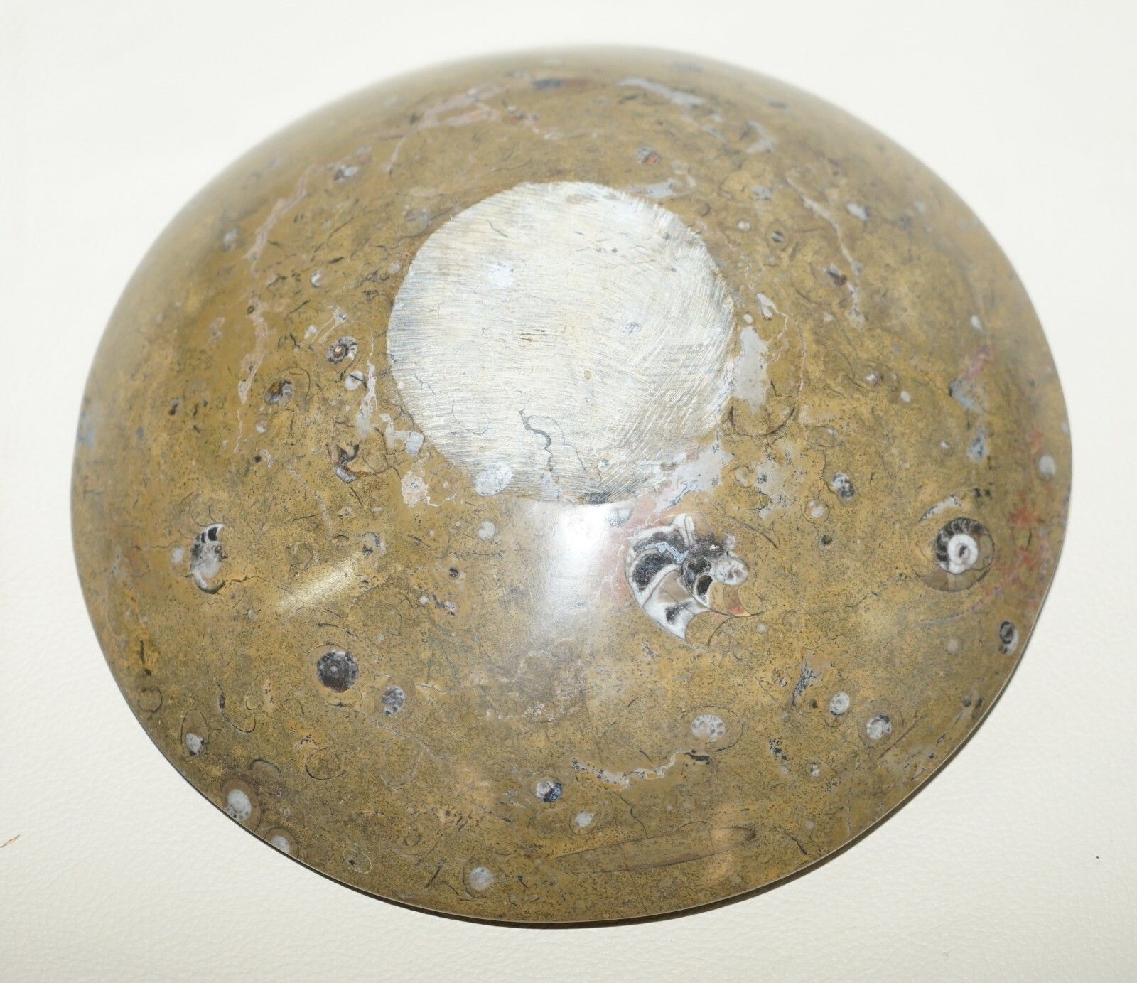 photo furniture 1 Of 4 Decorative Moroccan Ammonite Atlas Mountains Fossil Bowls Marble Finish
