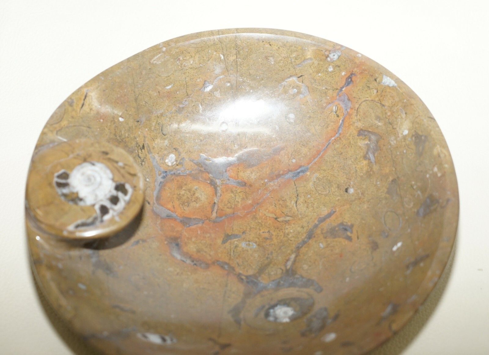 1 Of 4 Very Rare Moroccan Ammonite Atlas Mountains Fossil Bowls Marble Finish photo vinterior