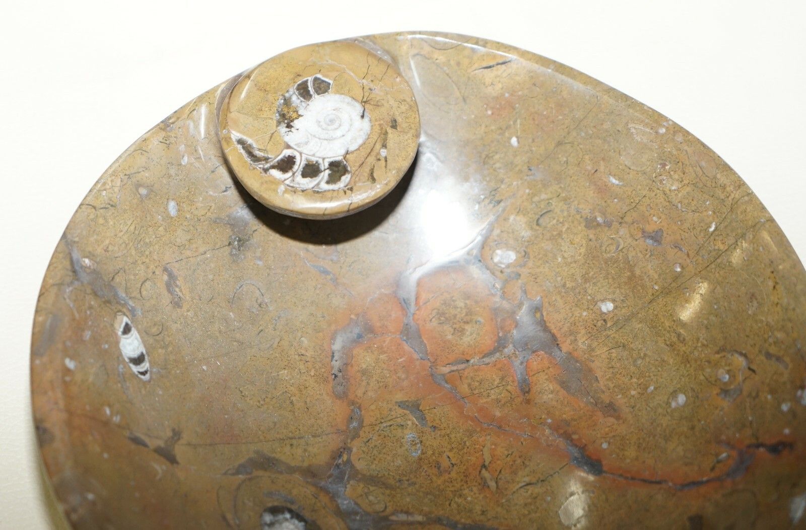 1 Of 4 Very Rare Moroccan Ammonite Atlas Mountains Fossil Bowls Marble Finish photo buy