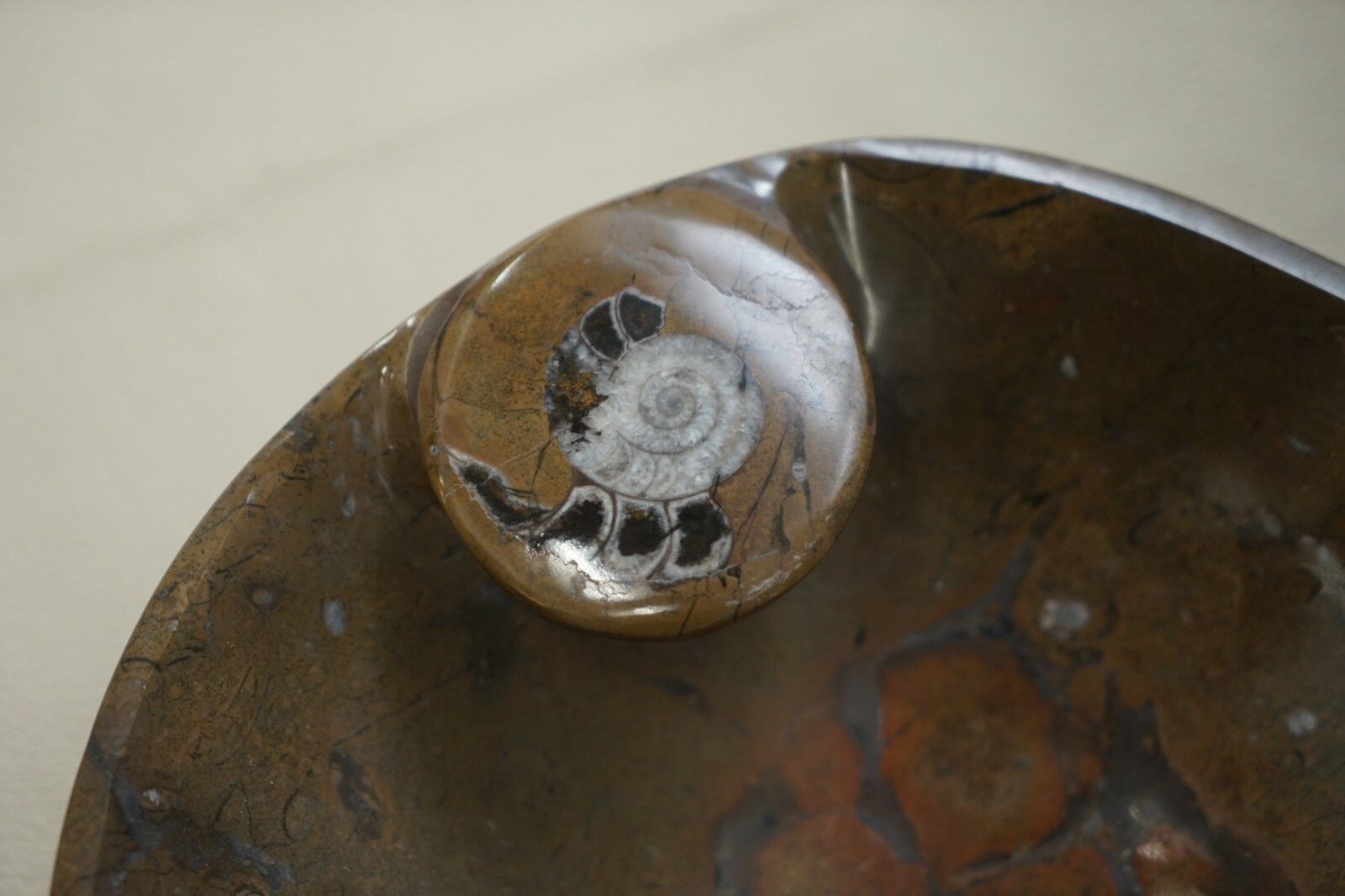 1 Of 4 Very Rare Moroccan Ammonite Atlas Mountains Fossil Bowls Marble Finish photo vintage