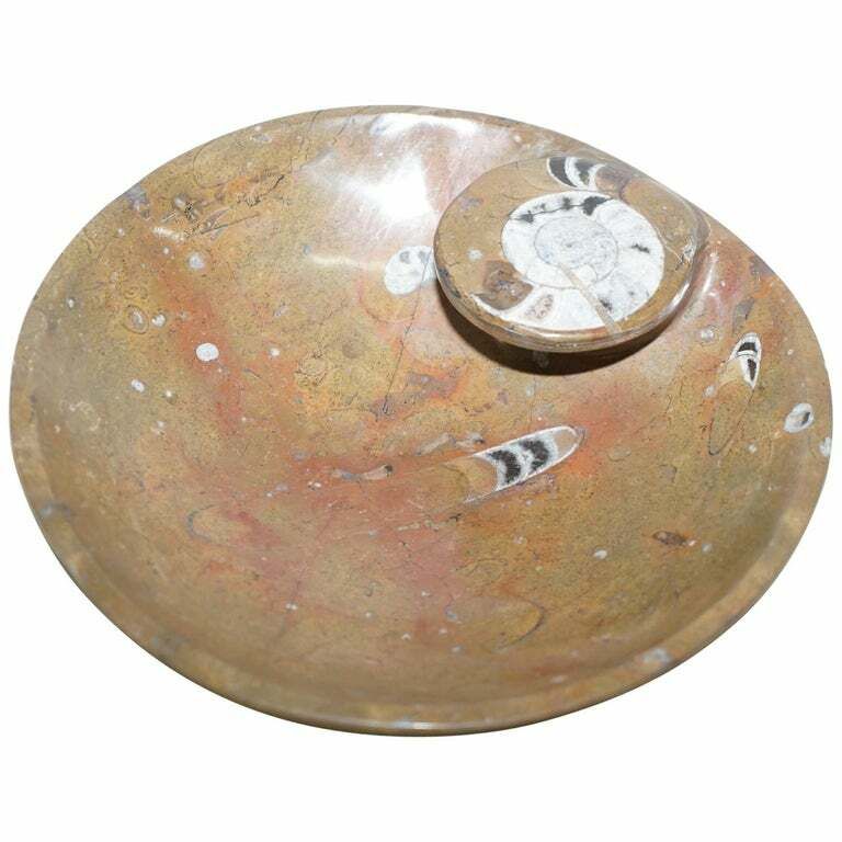 1 Of 4 Lovely Moroccan Ammonite Atlas Mountains Fossil Bowls Marble Finish