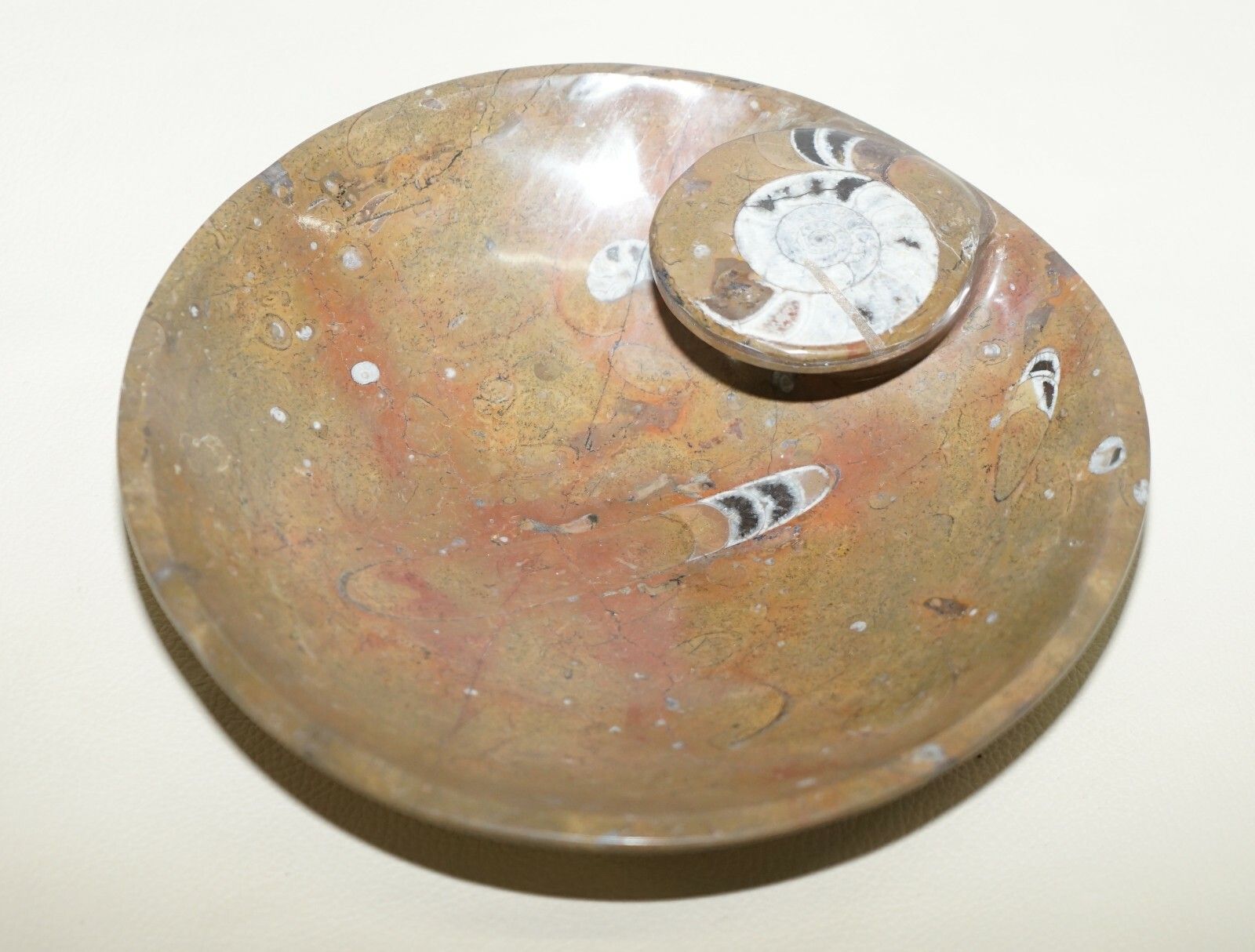 1 Of 4 Lovely Moroccan Ammonite Atlas Mountains Fossil Bowls Marble Finish photo furniture