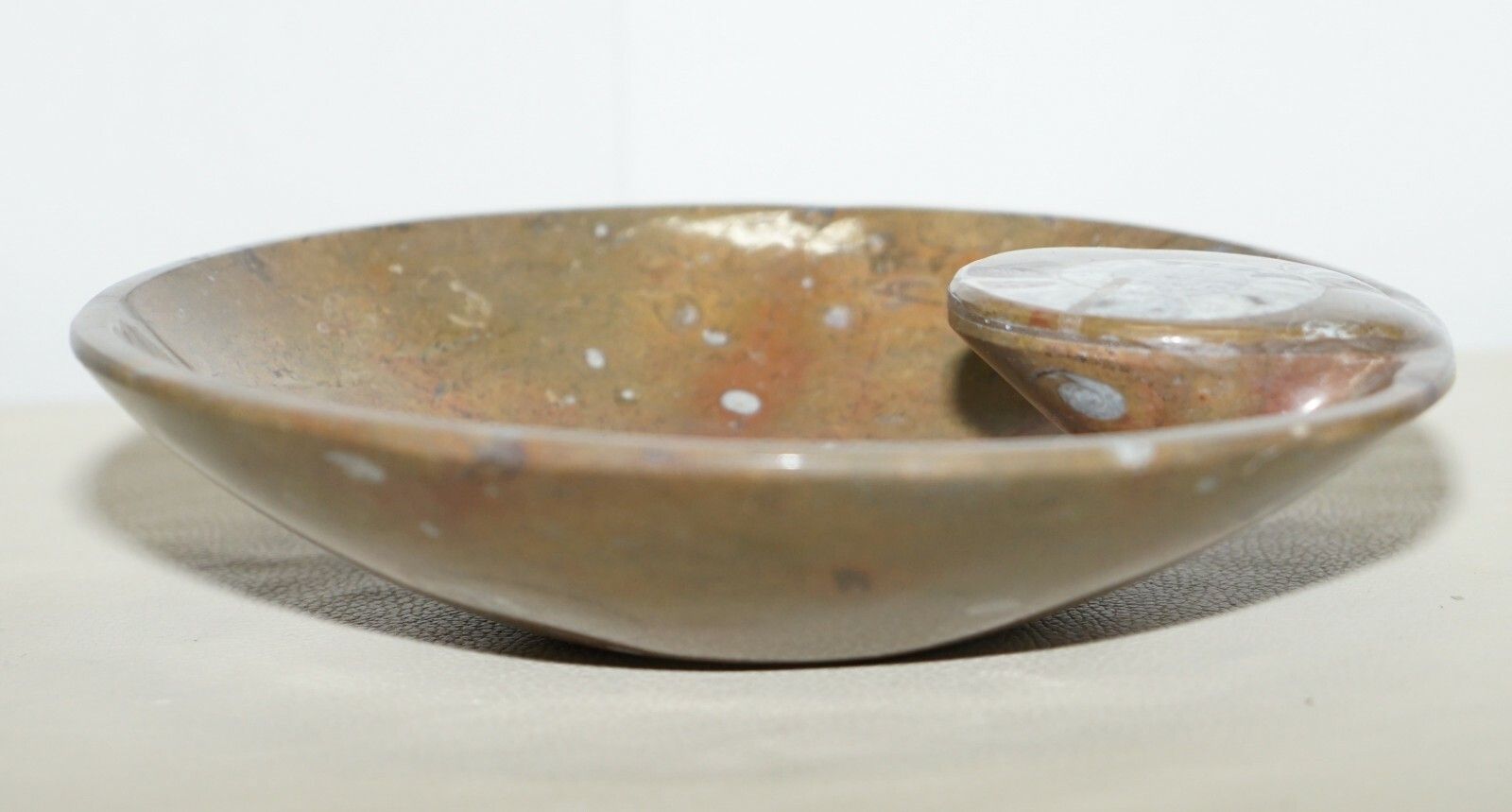 1 Of 4 Lovely Moroccan Ammonite Atlas Mountains Fossil Bowls Marble Finish photo Home Decor