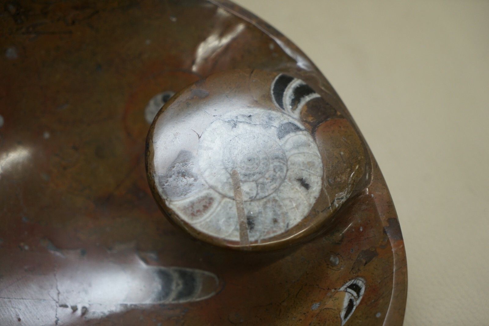 1 Of 4 Lovely Moroccan Ammonite Atlas Mountains Fossil Bowls Marble Finish photo vintage