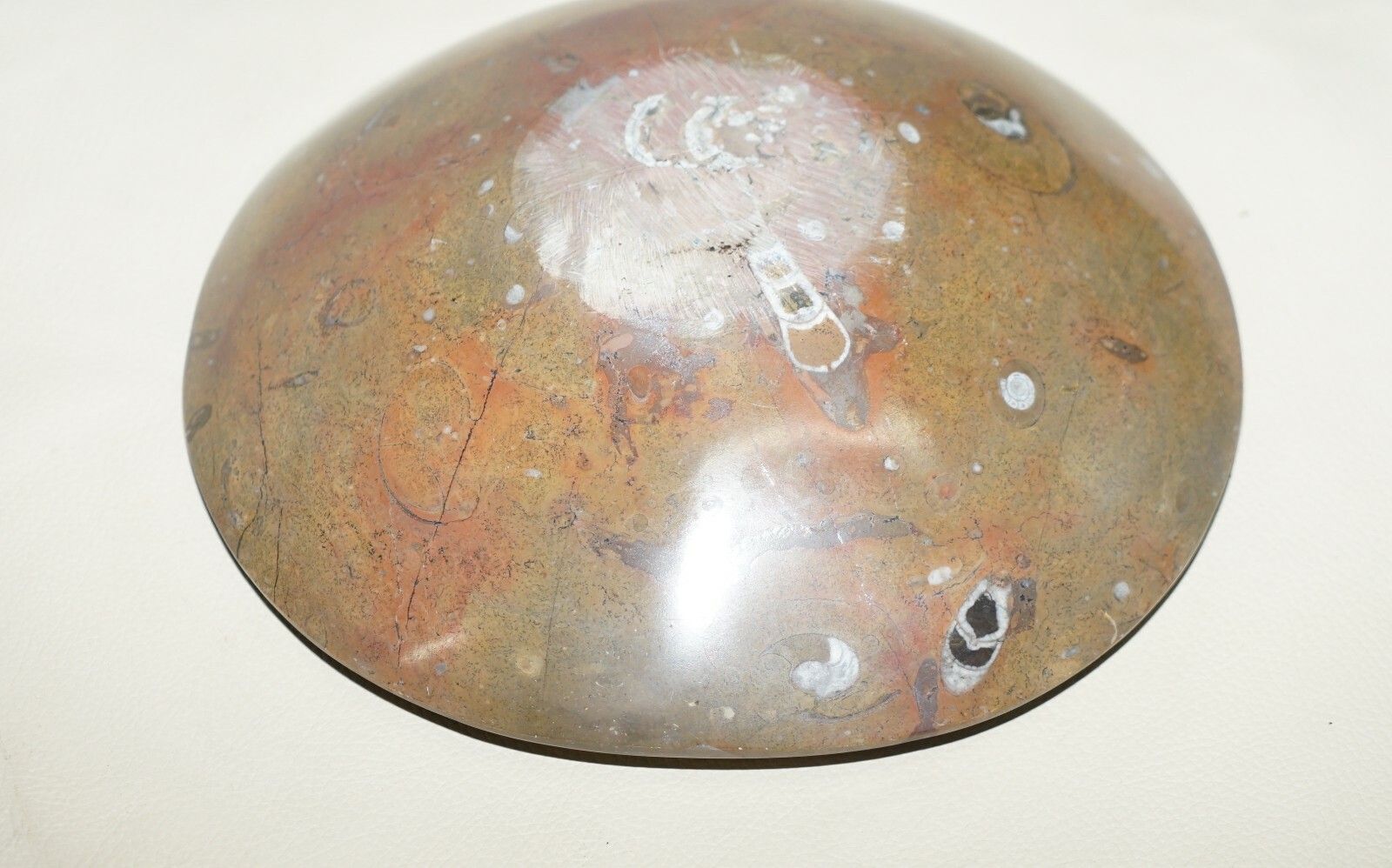 Home Decor 1 Of 4 Lovely Moroccan Ammonite Atlas Mountains Fossil Bowls Marble Finish photo