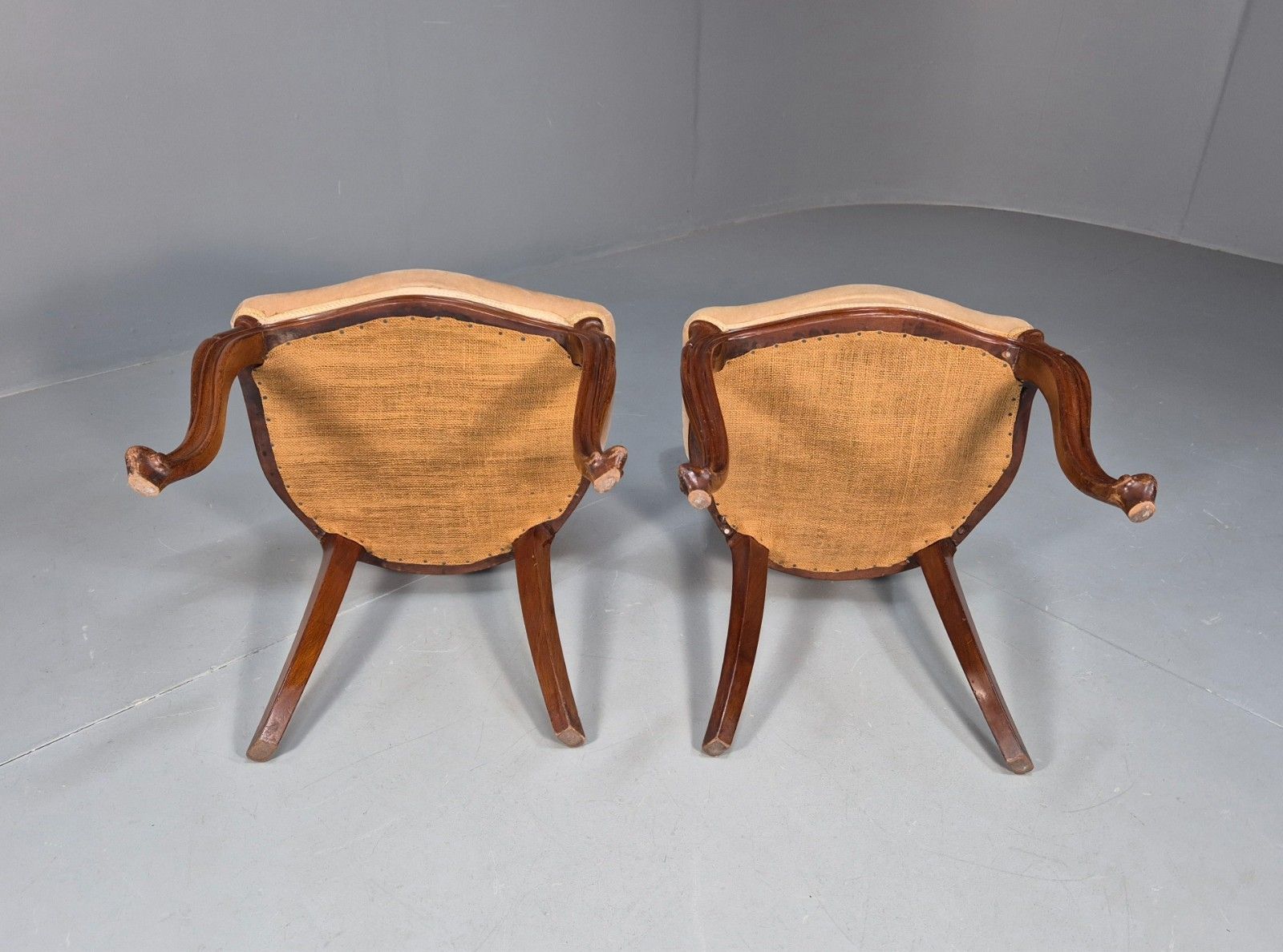photo buy 2 Antique Louis XV Style French Country Chairs Balloon Back  Eb10048 Vdin