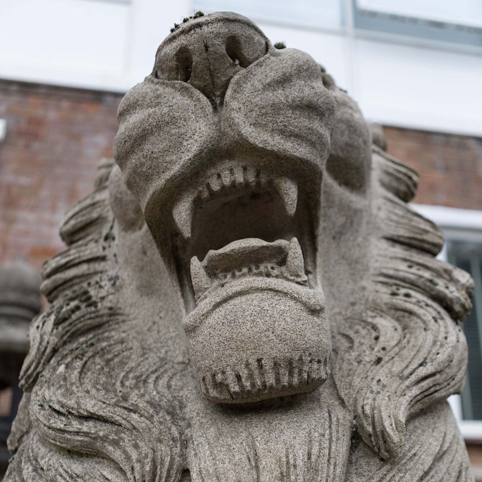 Reclaimed Pair Of Monumental Stone Lions On Their Own Plinth photo 18500.0