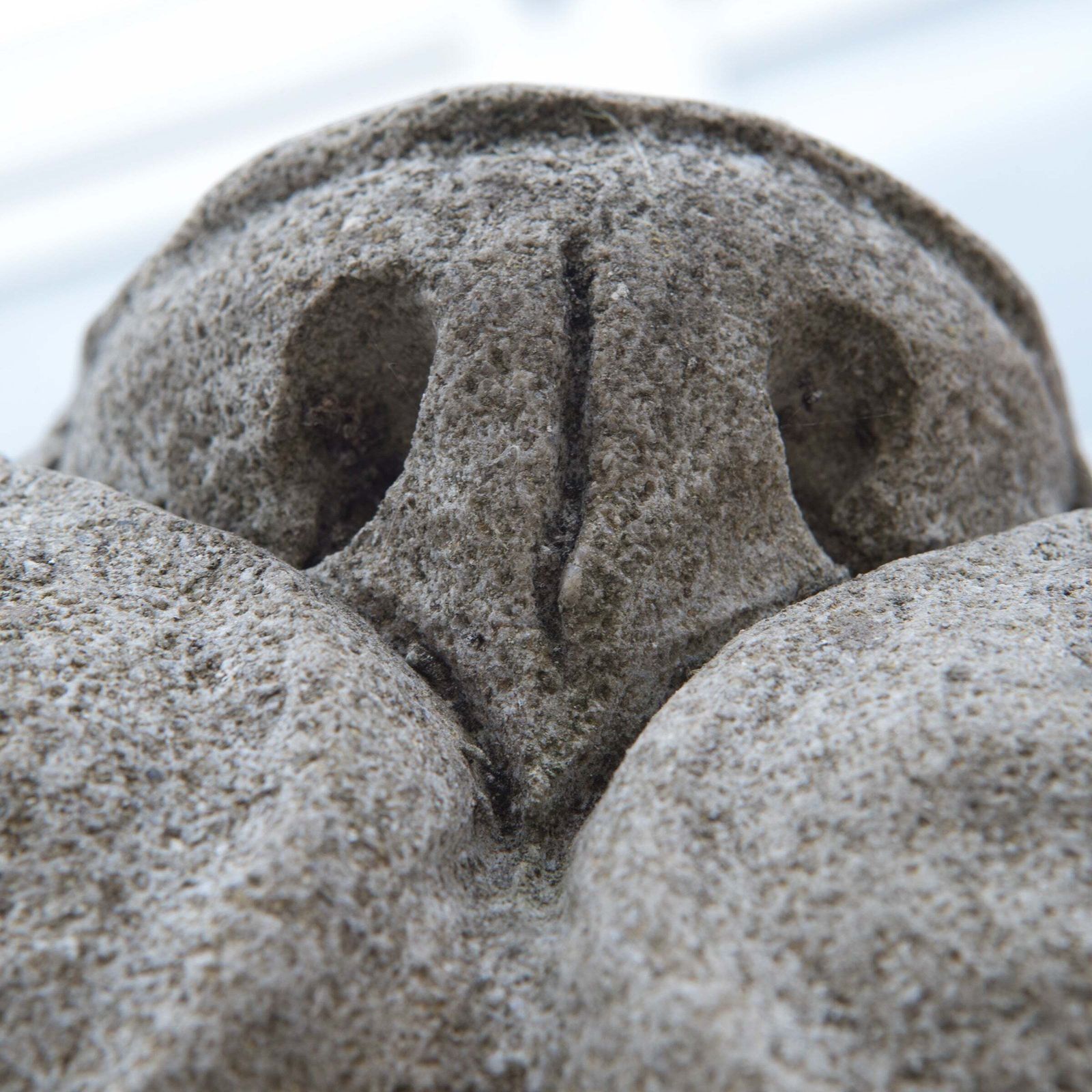 photo furniture Reclaimed Pair Of Monumental Stone Lions On Their Own Plinth