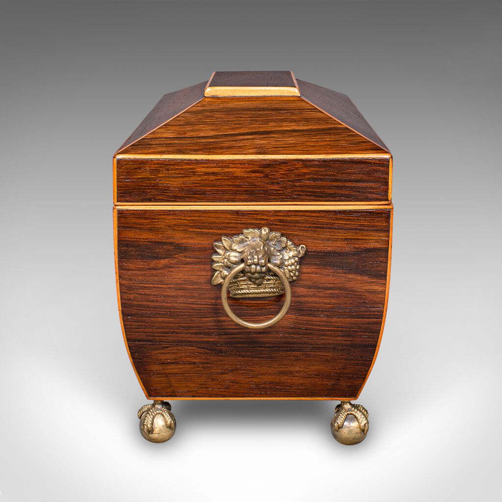 Antique Sarcophagus Tea Caddy, English, Loose Leaf Case, William IV, Circa 1835 photo Home Decor