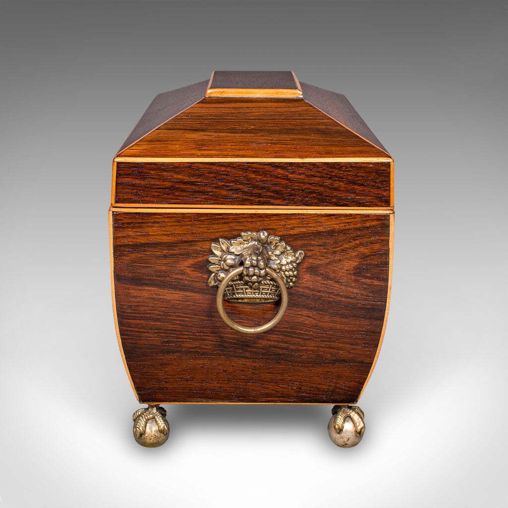 Antique Sarcophagus Tea Caddy, English, Loose Leaf Case, William IV, Circa 1835 photo vinterior