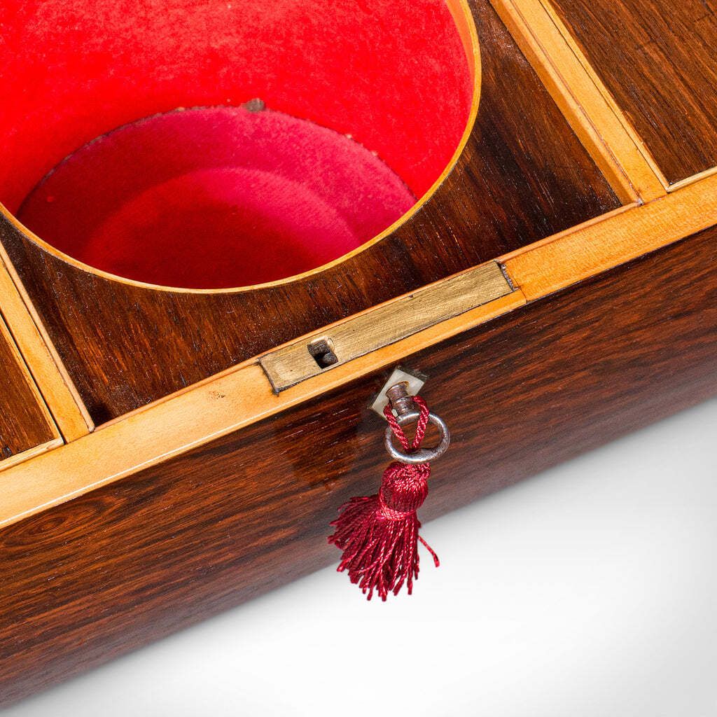photo for sale Antique Sarcophagus Tea Caddy, English, Loose Leaf Case, William IV, Circa 1835