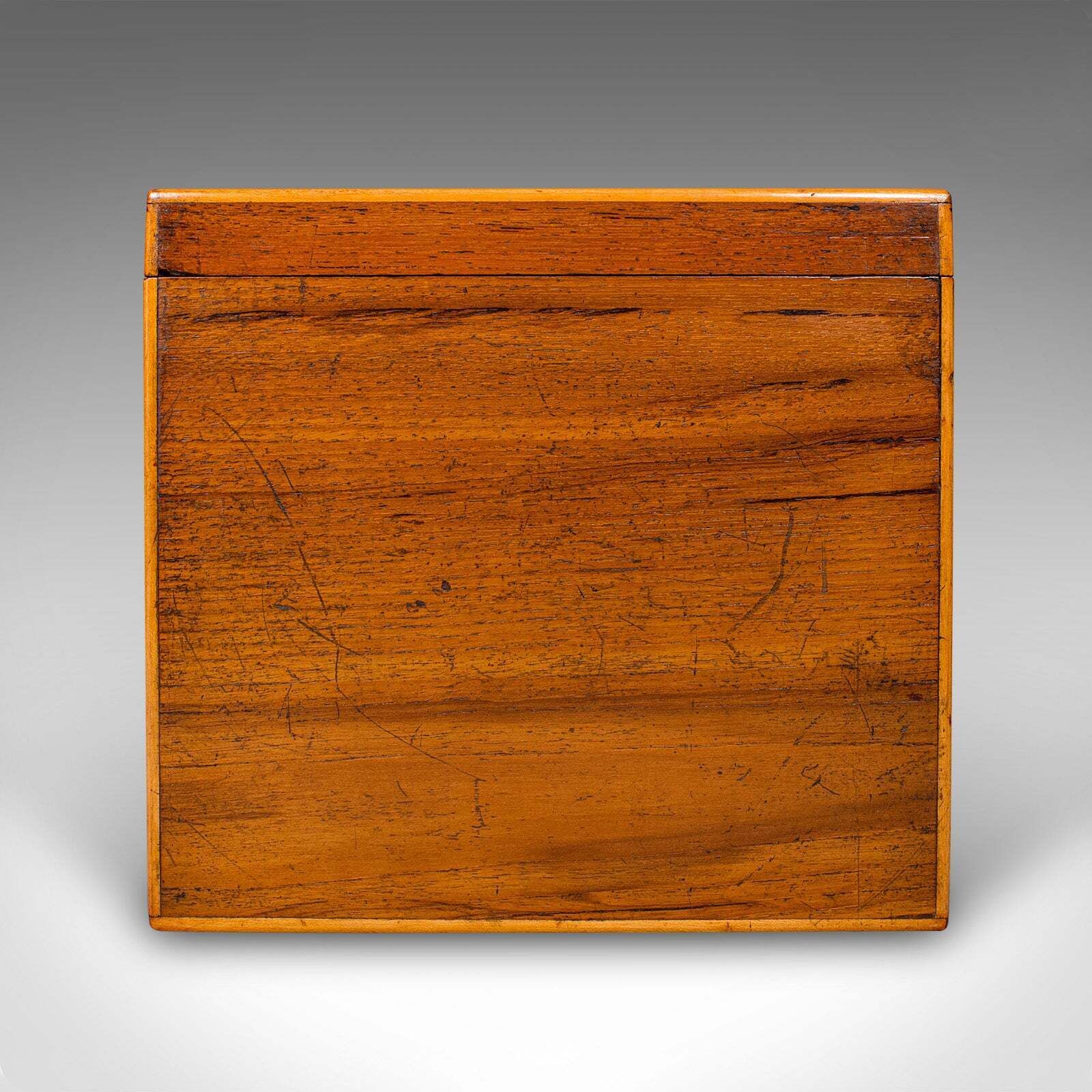 Antique Document Sleeve, English, Stationery Box, Desk, Office, Georgian, C.1800 photo 1015.0