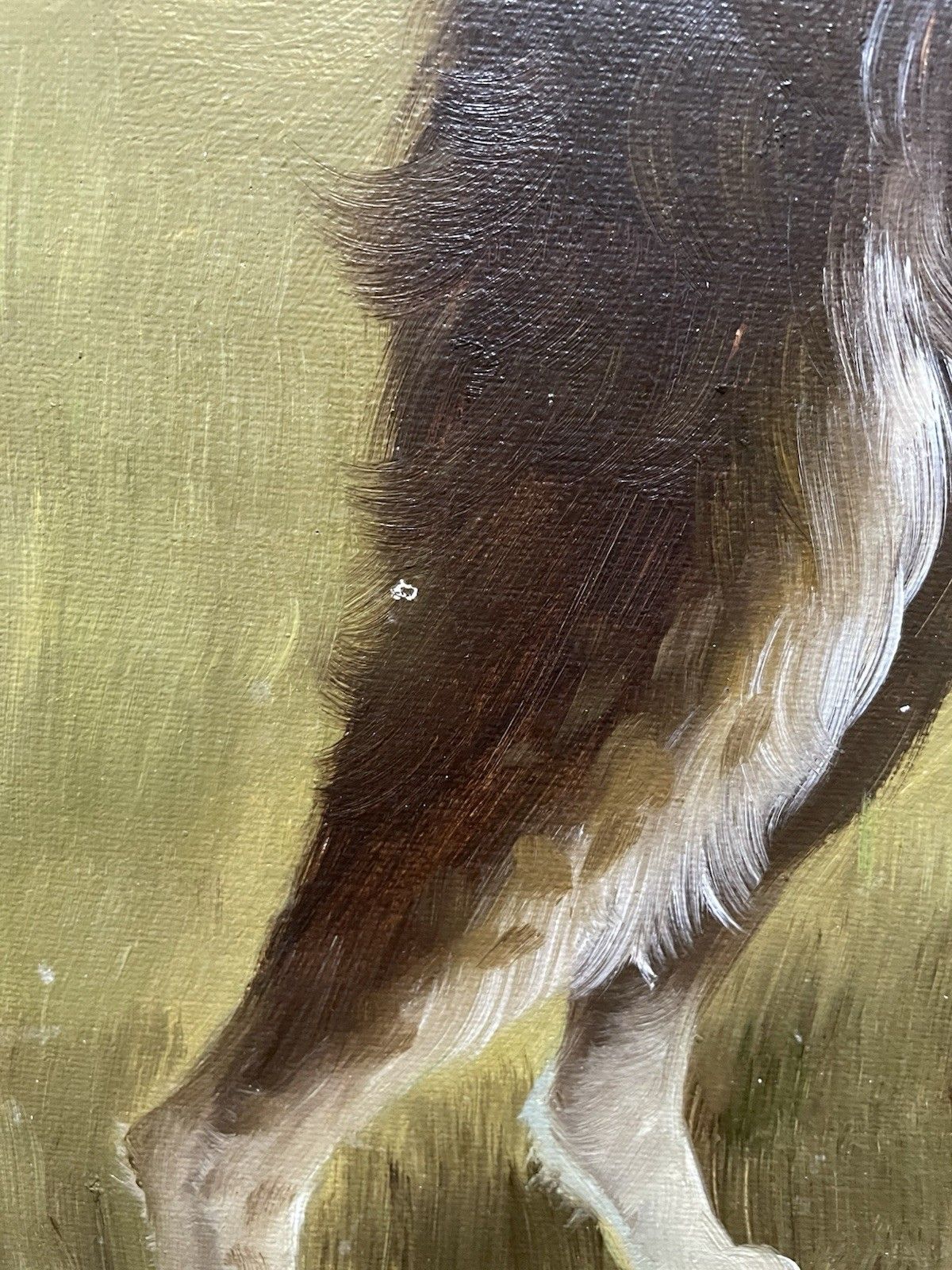 Art Vintage Oil Painting Cocker Spaniel Dog Framed On Canvas Mid Century photo