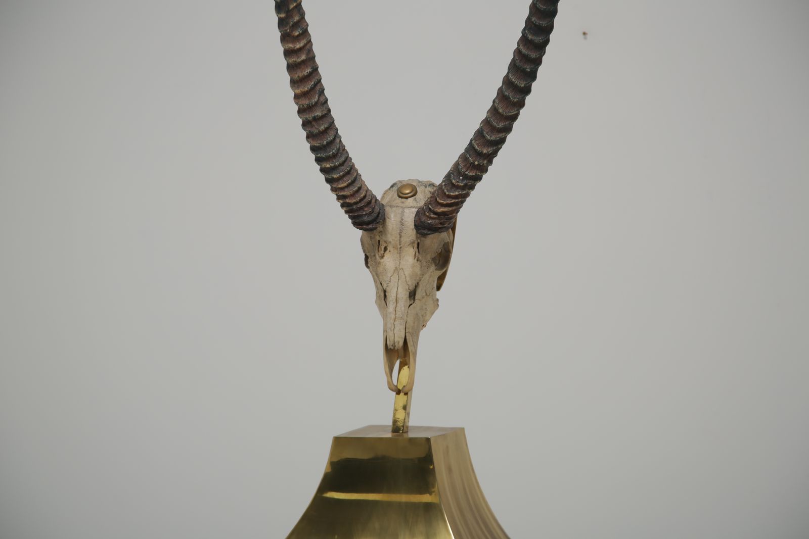 1800.0 Opgezette Afrikaanse Gazelle Met Hoorns, Toegeschreven Aan Anthony Redmile, Londen, Jaren 1970. photo