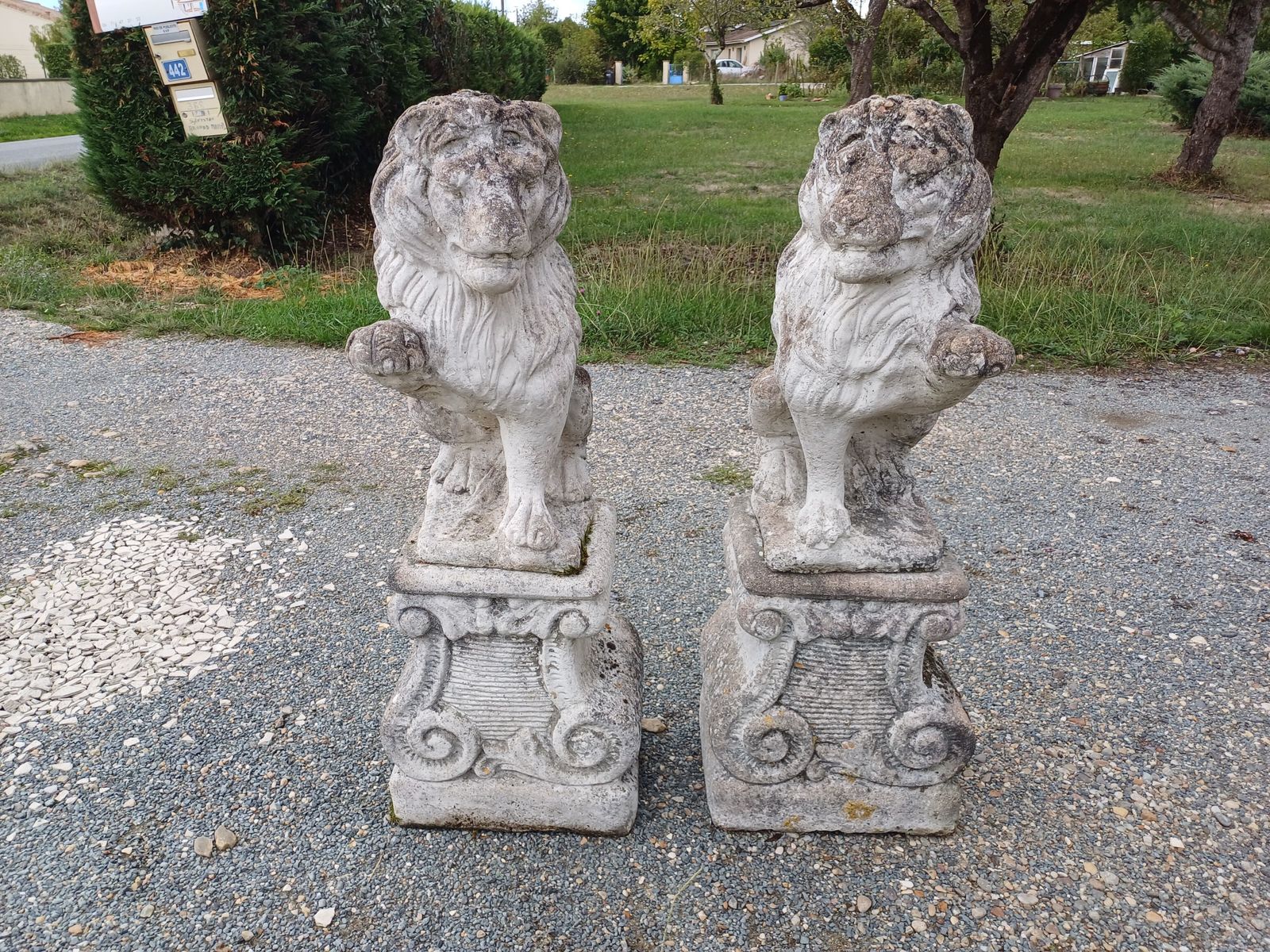 photo buy Pair Of Stone Lions From The 1960s