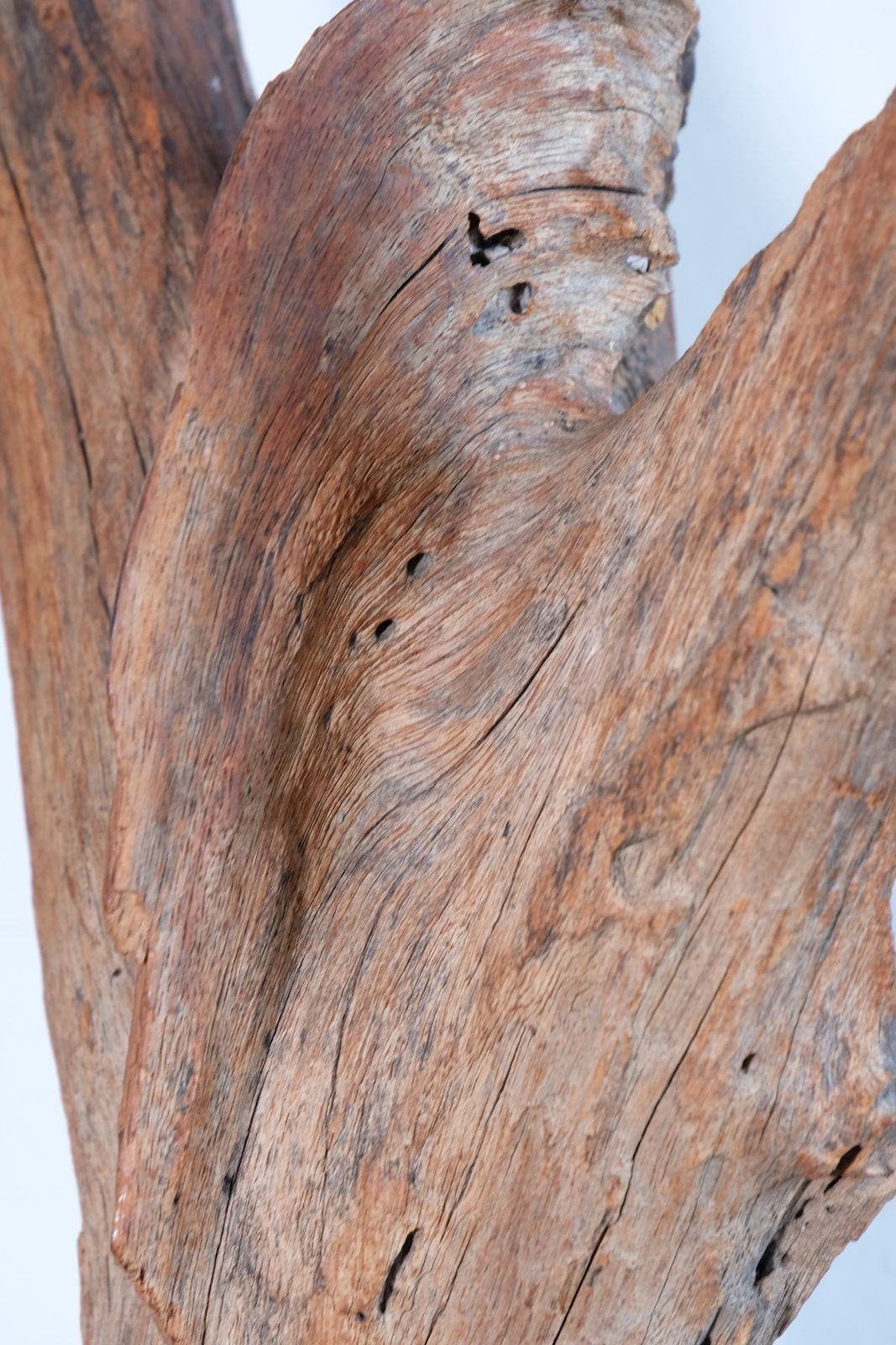 Primitive Carved Driftwood Folk Art Face Sculpture From Beachfound Wood photo buy