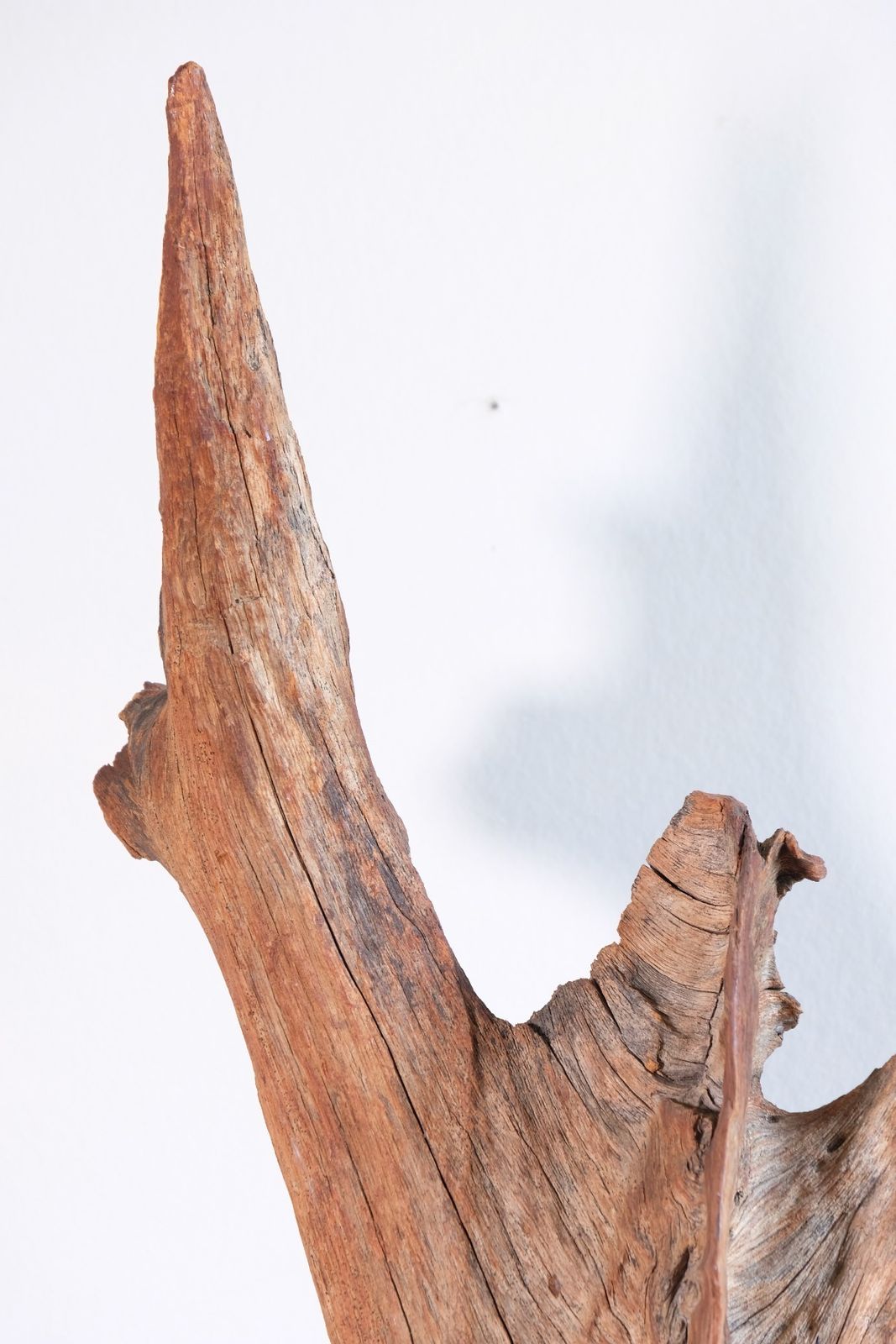photo vinterior Primitive Carved Driftwood Folk Art Face Sculpture From Beachfound Wood