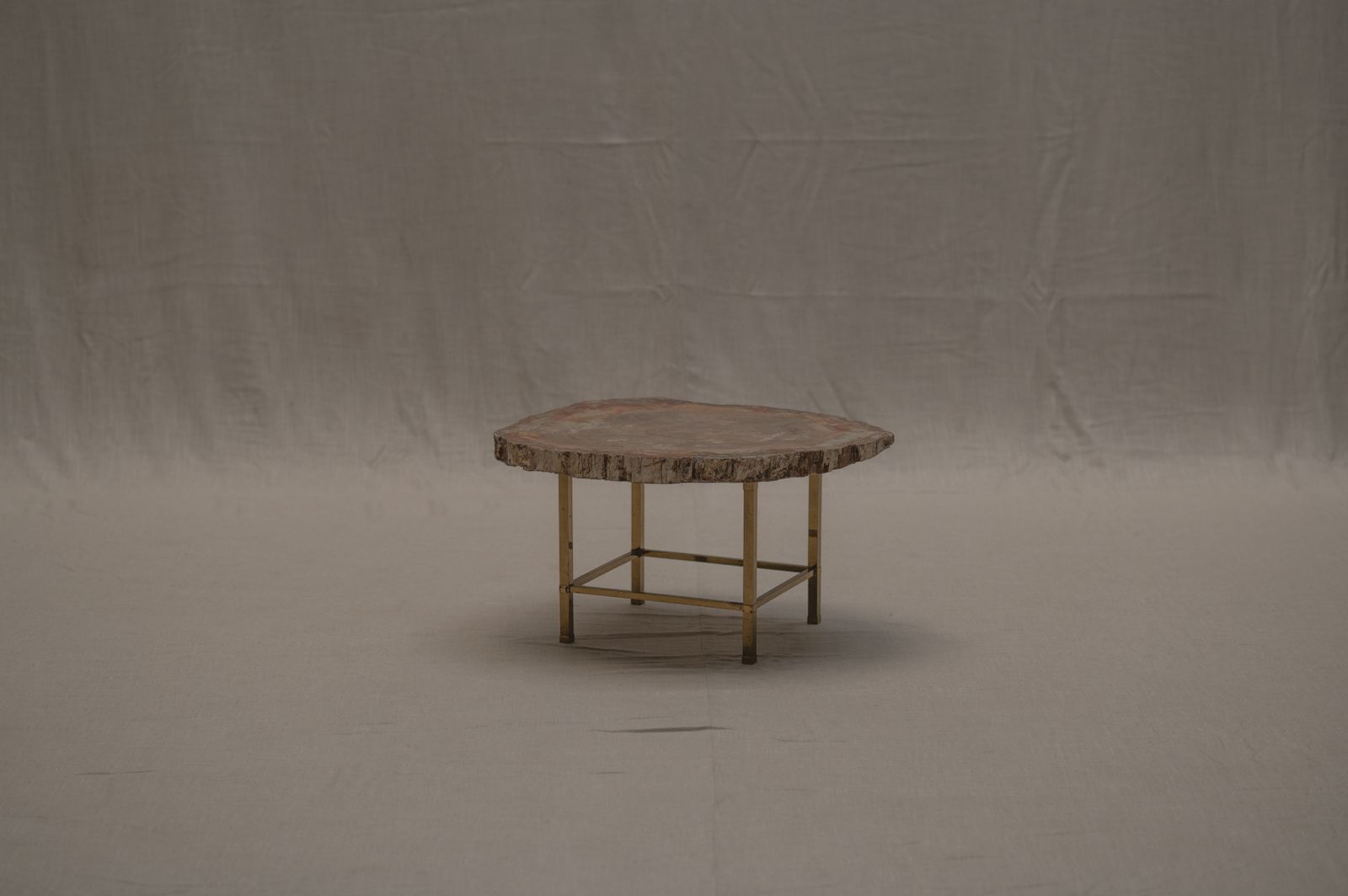 Rare Petrified Wood Coffee Table   1970s