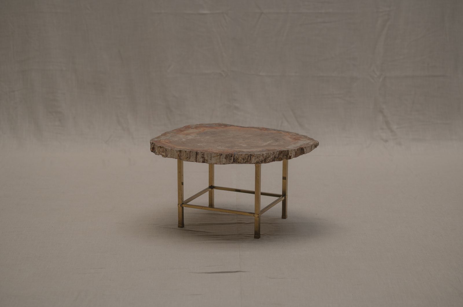 Rare Petrified Wood Coffee Table   1970s photo furniture
