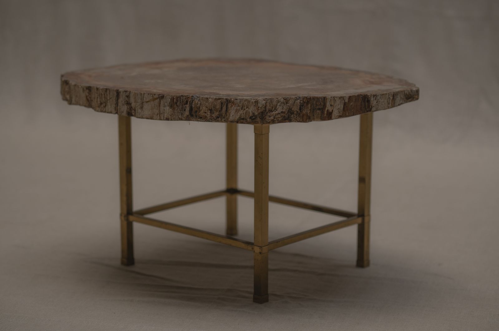 Rare Petrified Wood Coffee Table   1970s photo 2250.0