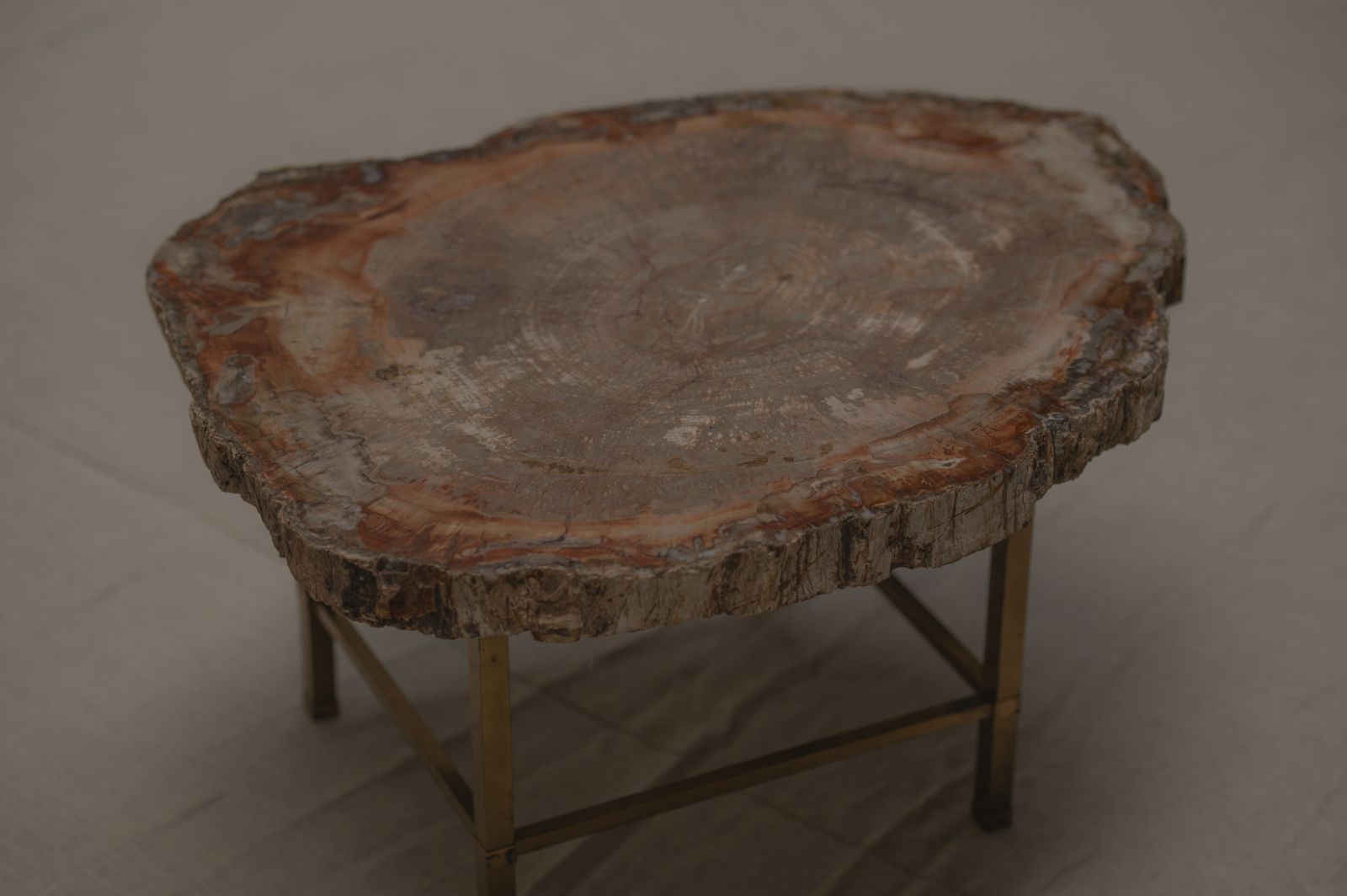 Rare Petrified Wood Coffee Table   1970s photo vinterior