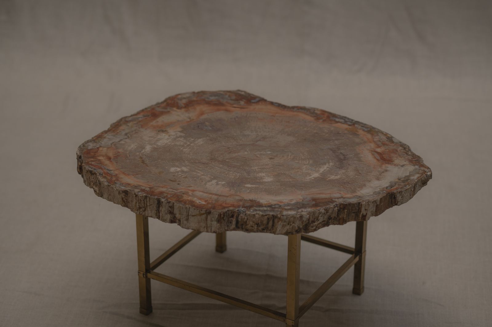Rare Petrified Wood Coffee Table   1970s photo buy
