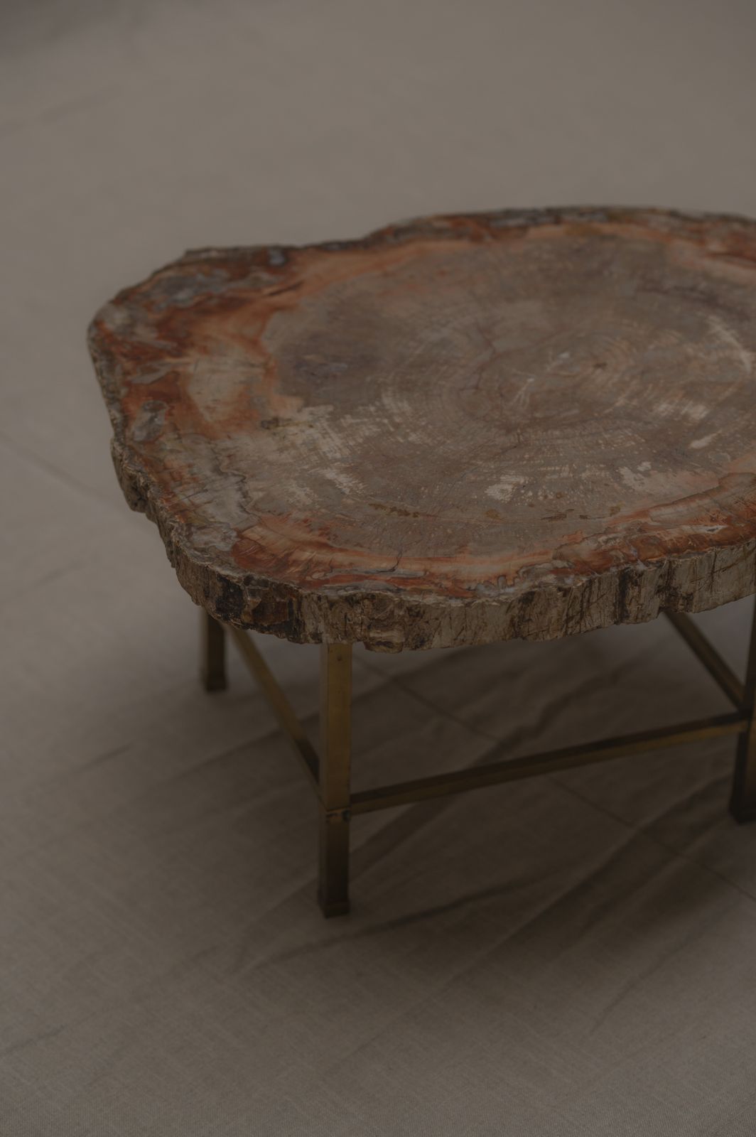photo for sale Rare Petrified Wood Coffee Table   1970s