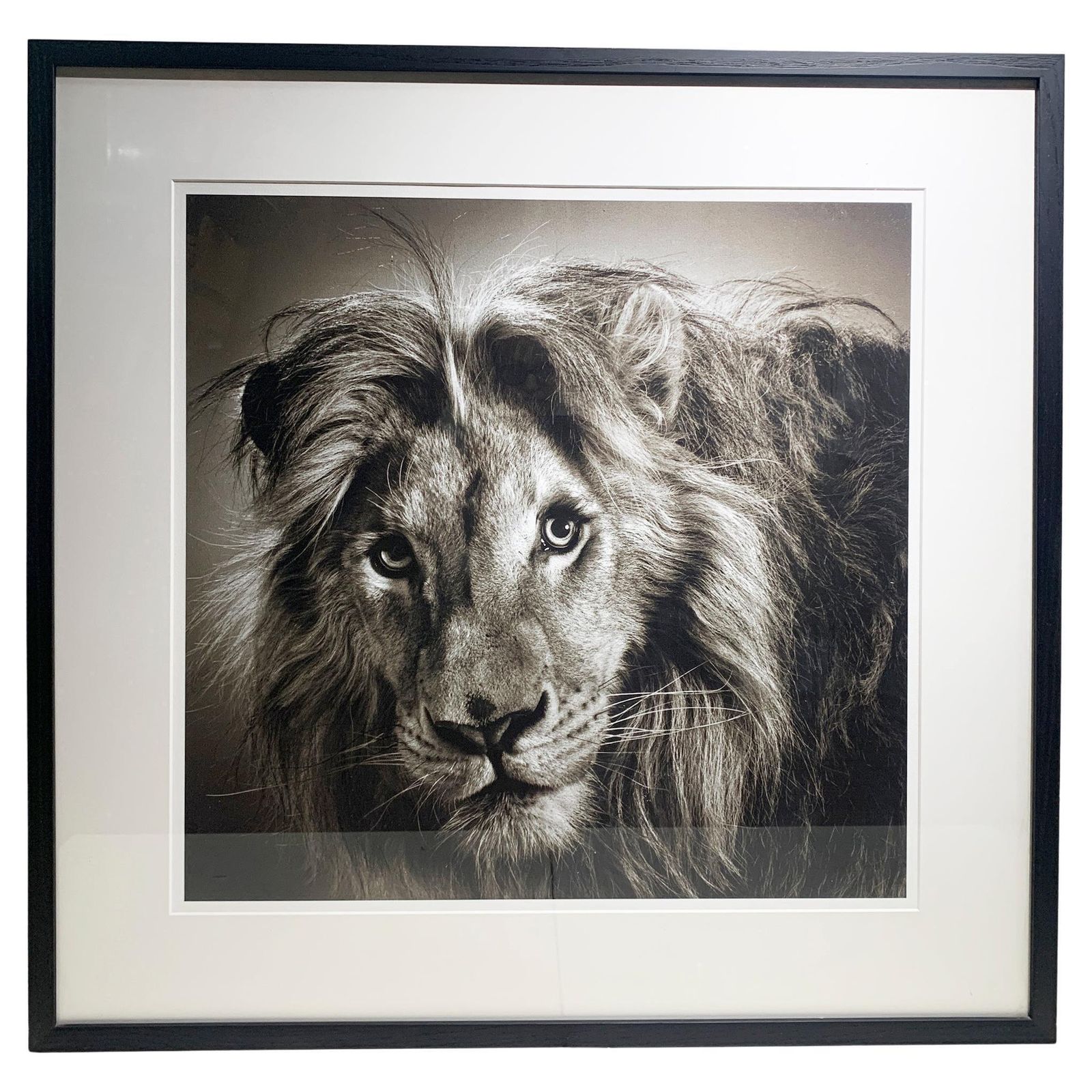 Framed "Massai" Limited Edition Original Print, Signed By Alexander Von Reiswitz
