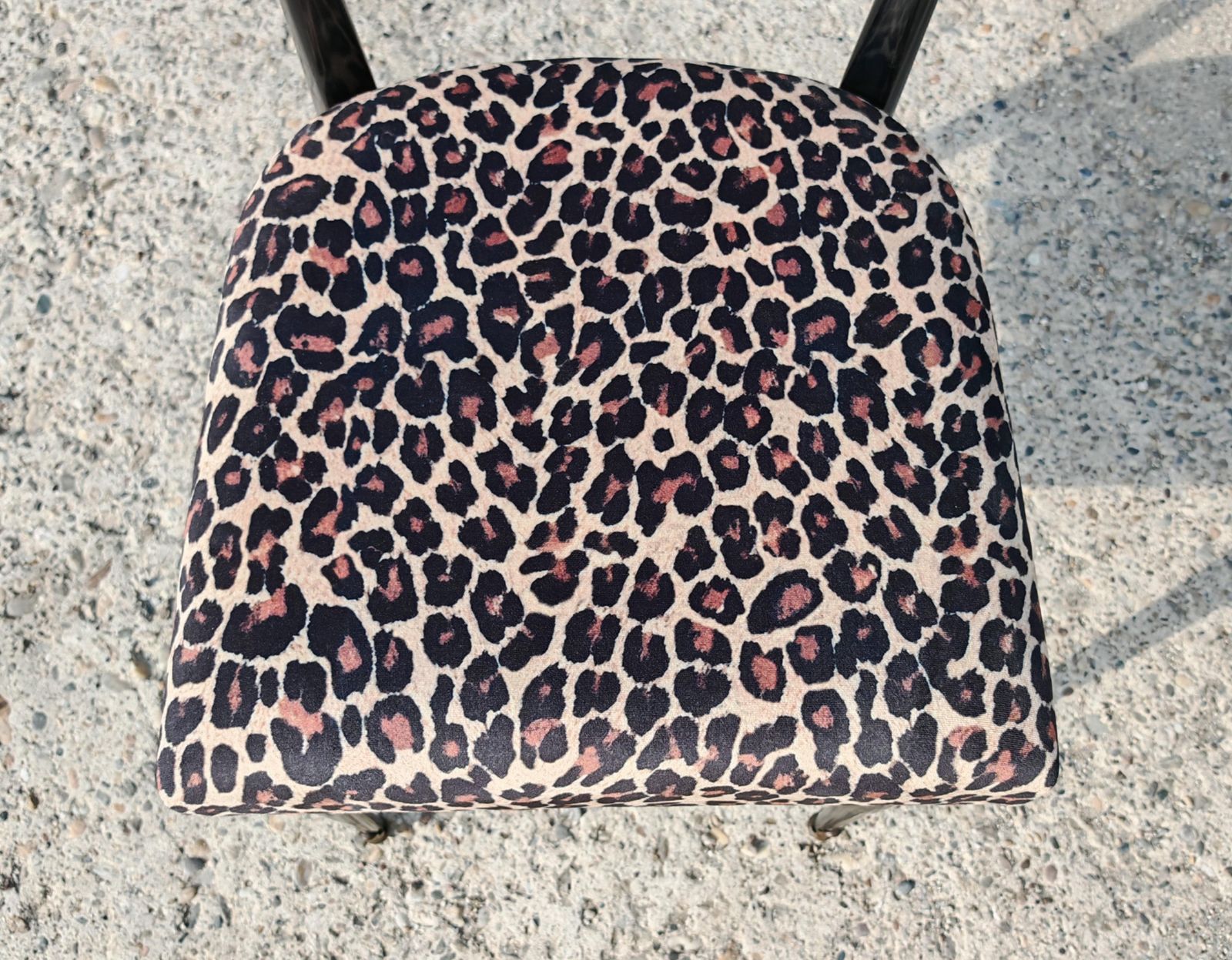 4000.0 Set Of 6 Mid Century Dining Chairs In Black Lacquer And Leopard Print Plush photo