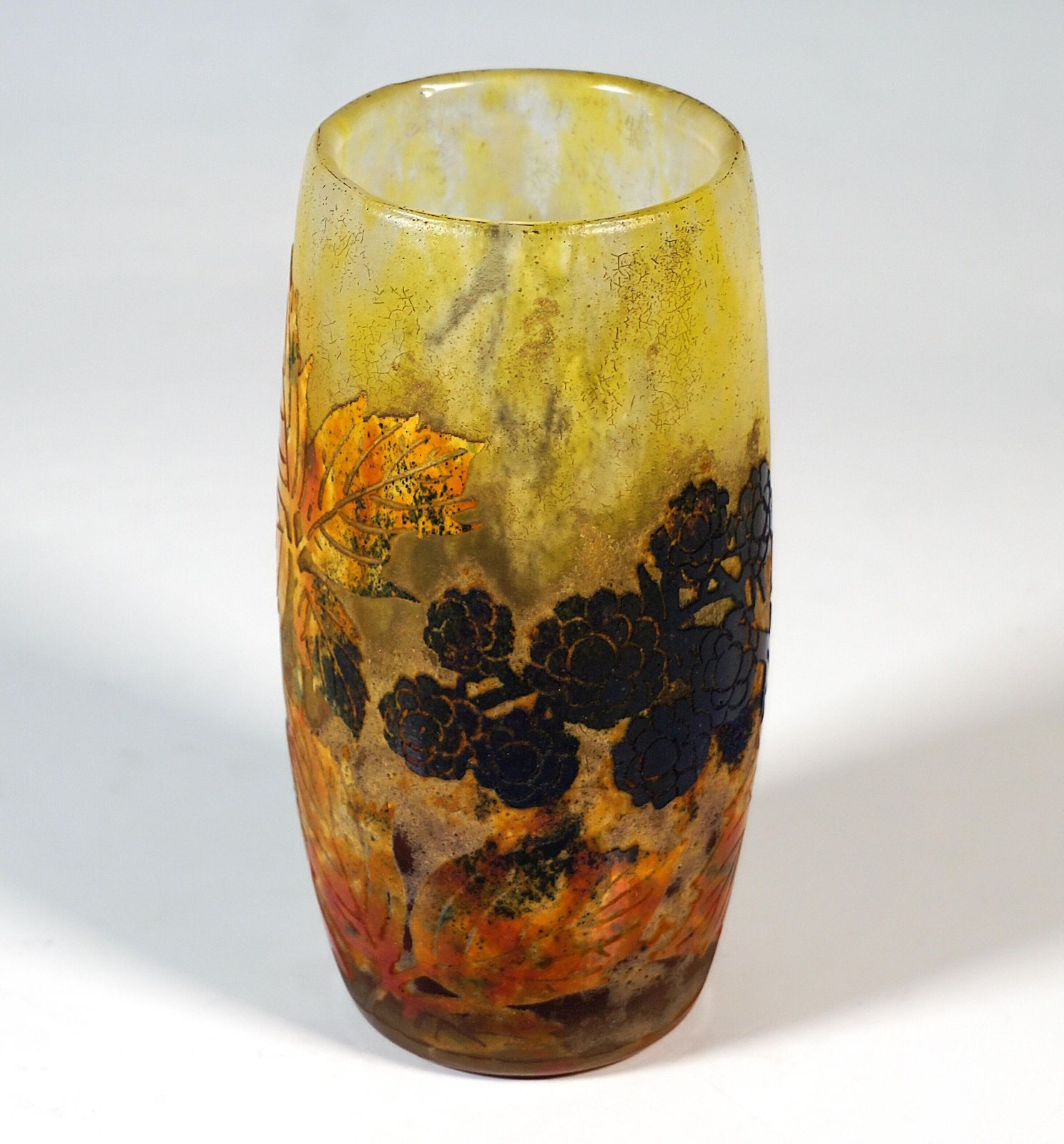 Art Nouveau Cameo Vase 'Mûres Sauvages', Daum Nancy, France, Ca. 1900/1905 photo 2180.0