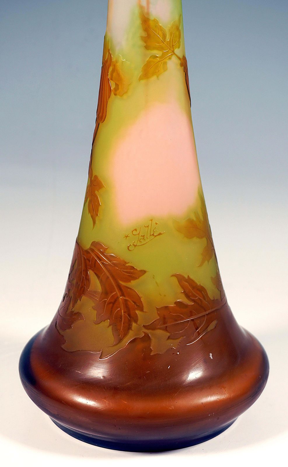 Large émile Gallé Art Nouveau Cameo Vase, Umbellifers Decor, France, Circa 1904 photo vinterior