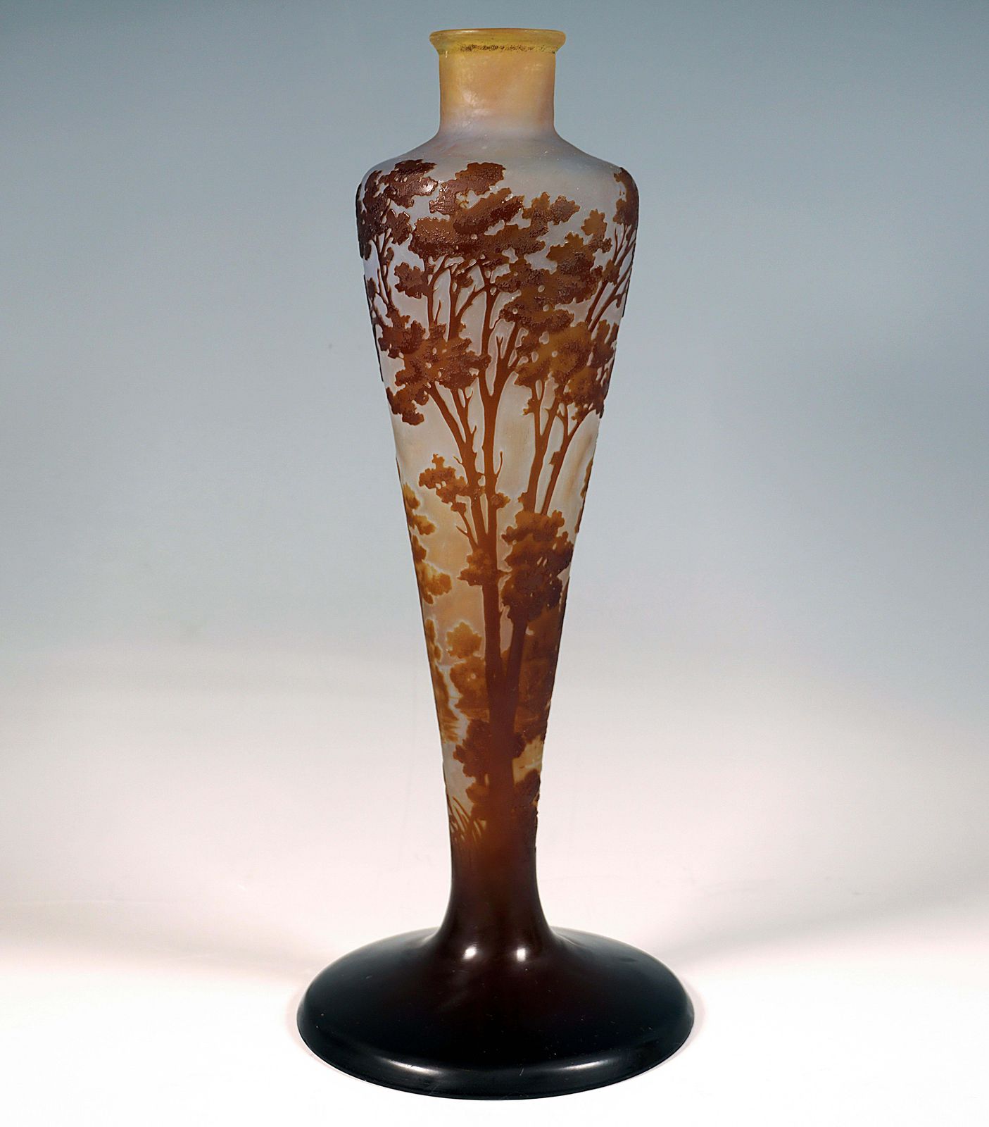 émile Gallé Art Nouveau Cameo Vase, Seascape Decor, France, Circa 1904 photo furniture