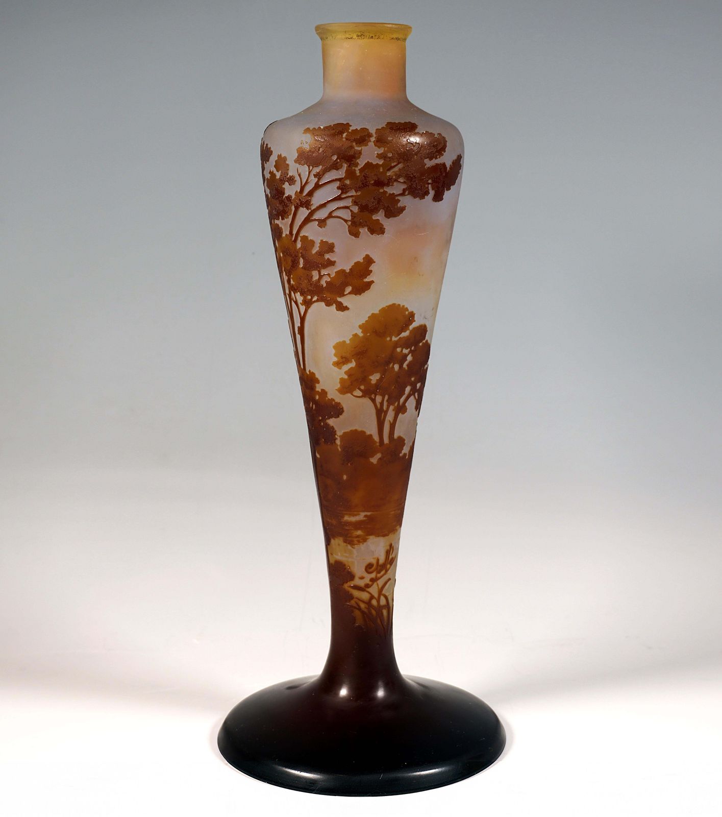 émile Gallé Art Nouveau Cameo Vase, Seascape Decor, France, Circa 1904 photo for sale