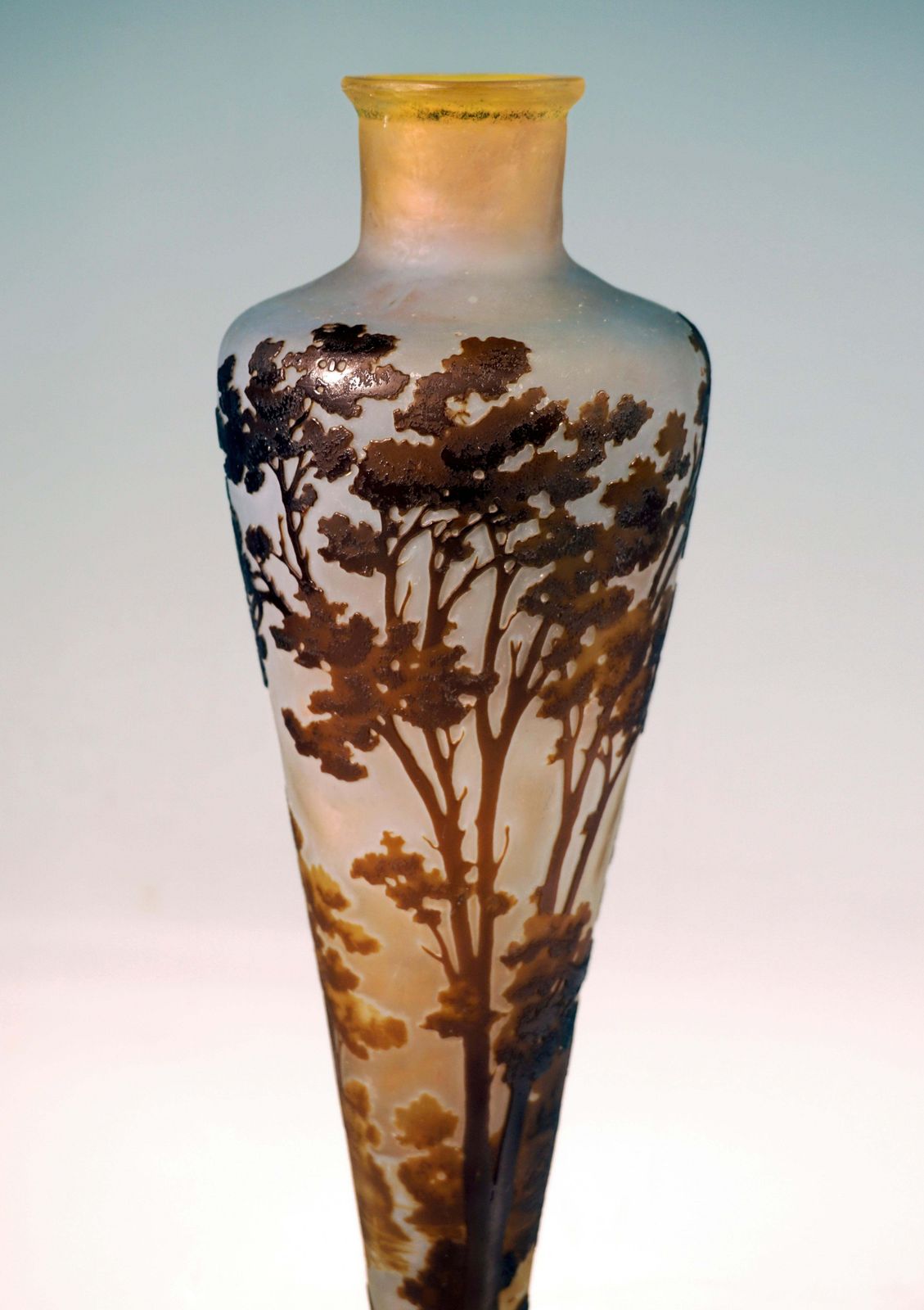 émile Gallé Art Nouveau Cameo Vase, Seascape Decor, France, Circa 1904 photo vinterior