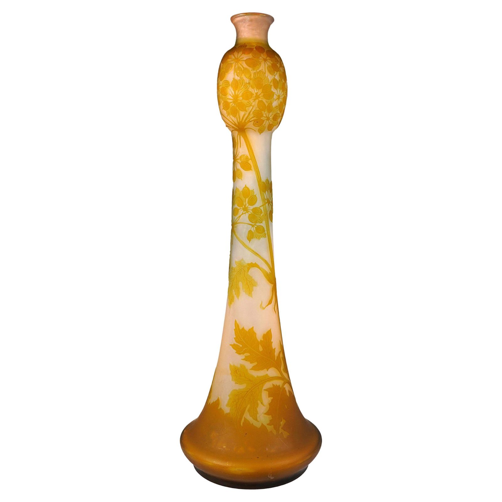 Large émile Gallé Art Nouveau Cameo Vase, Umbellifers Decor, France, Circa 1904