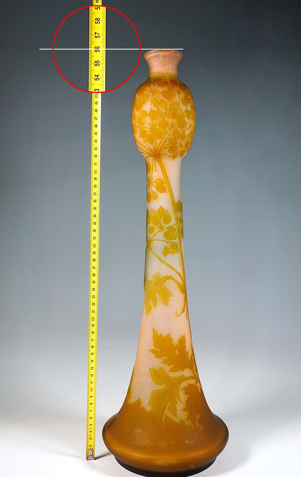 Large émile Gallé Art Nouveau Cameo Vase, Umbellifers Decor, France, Circa 1904 photo buy