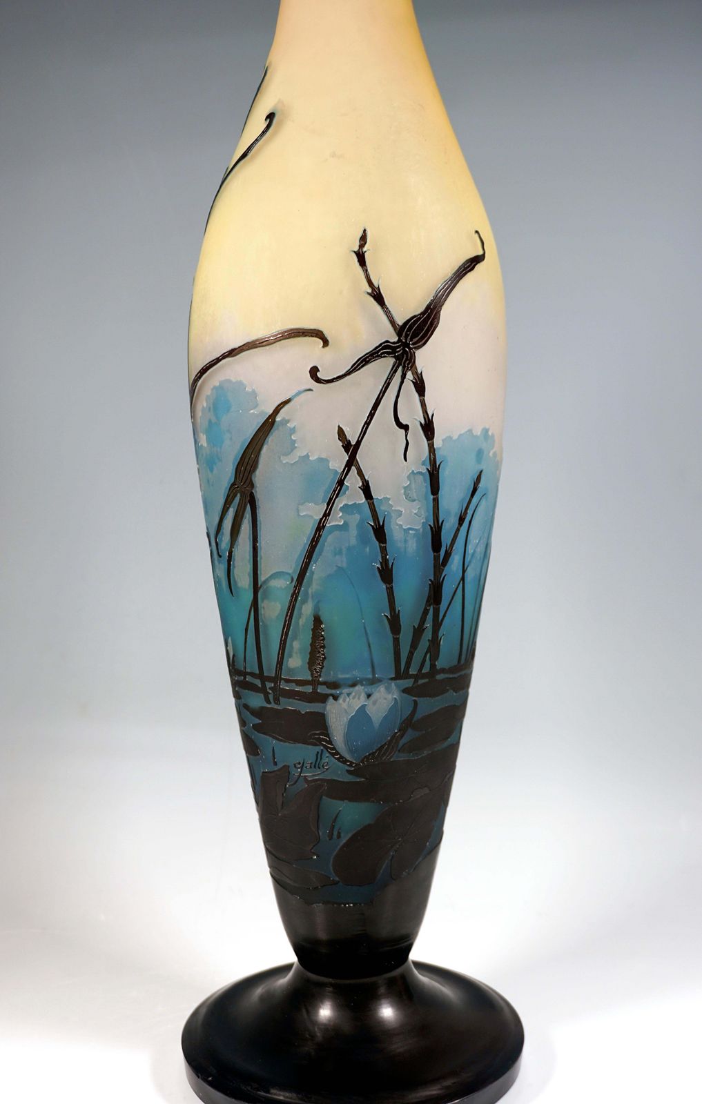 Large émile Gallé Art Nouveau Cameo Vase, Iris And Lily Pond, France, Ca. 1906 photo vinterior