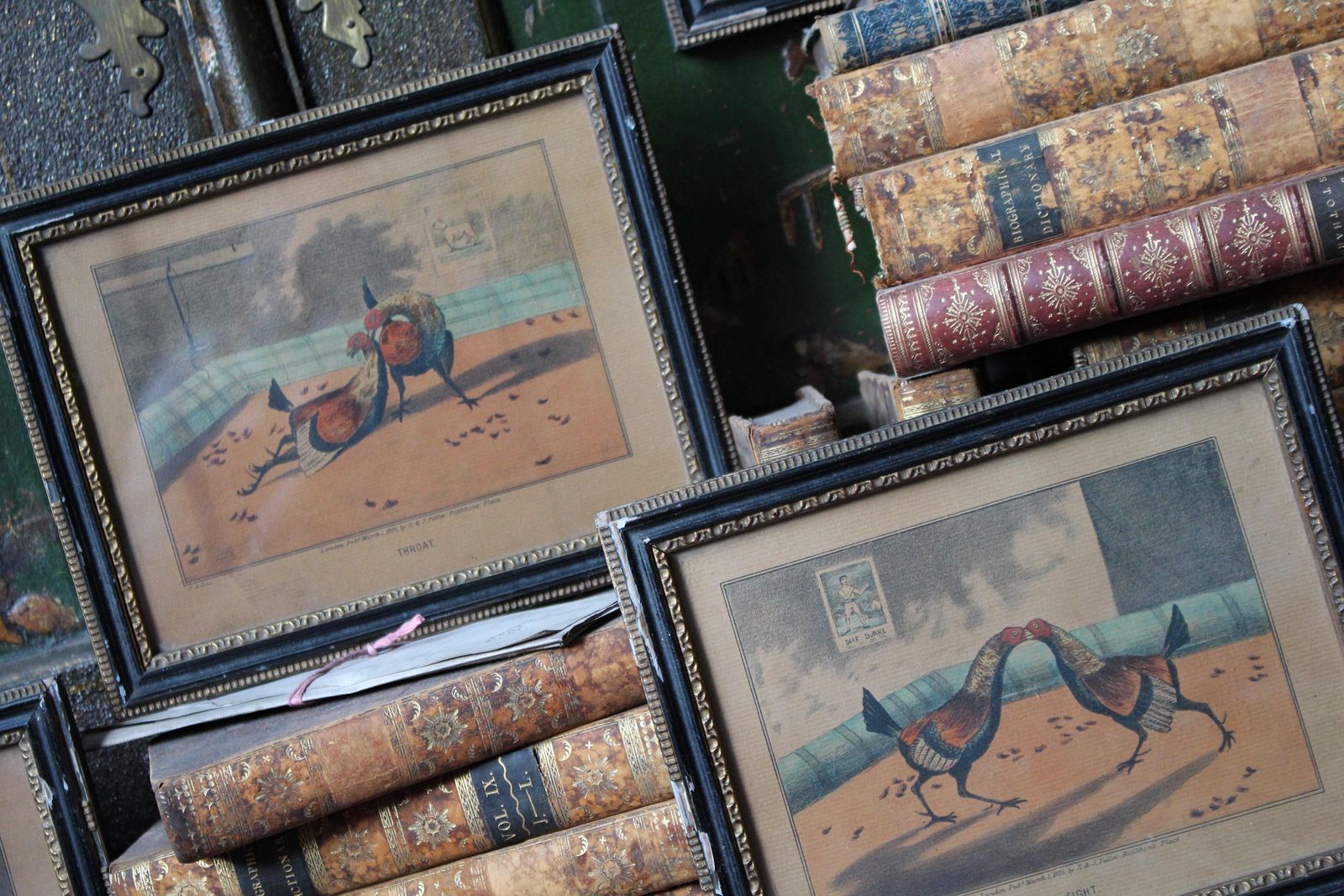 Early 19th Century Hand Coloured Cockfighting Scenes Sporting Taxidermy Hunting photo for sale