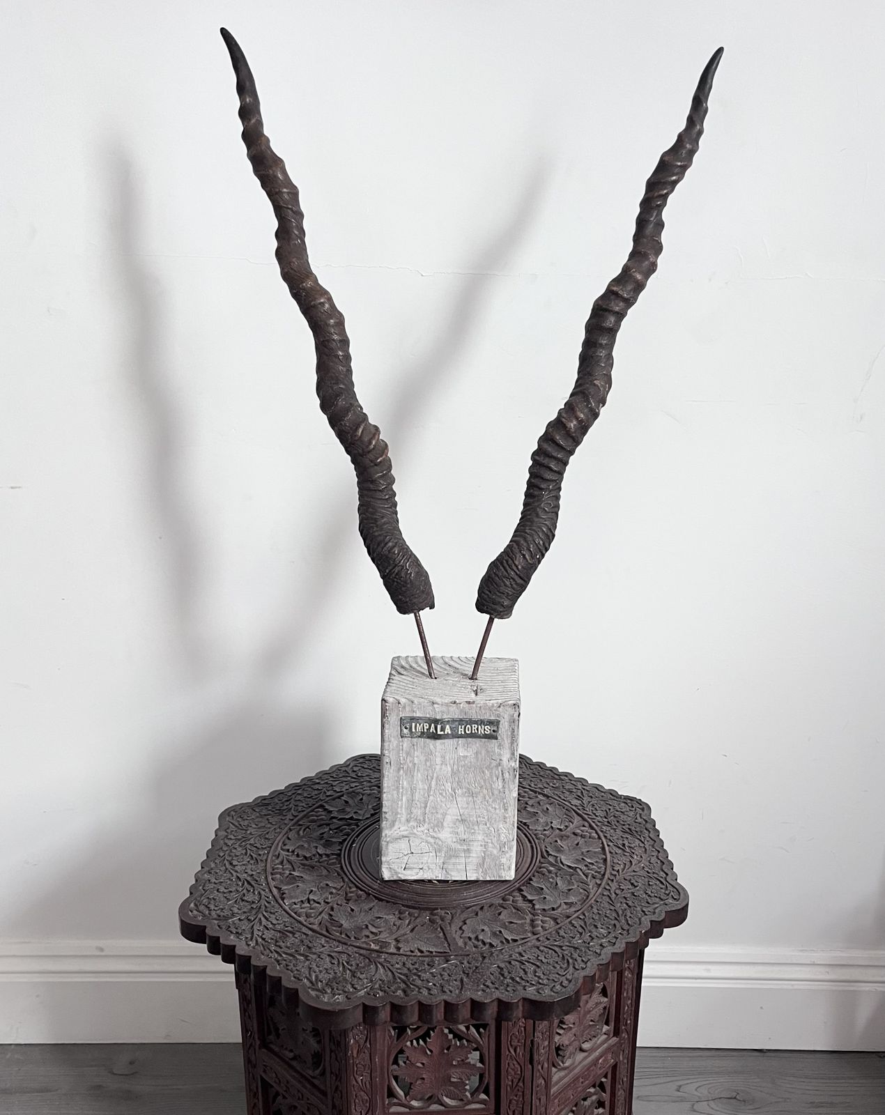 Antique Antelope Impala Horns On Wooden Plinth