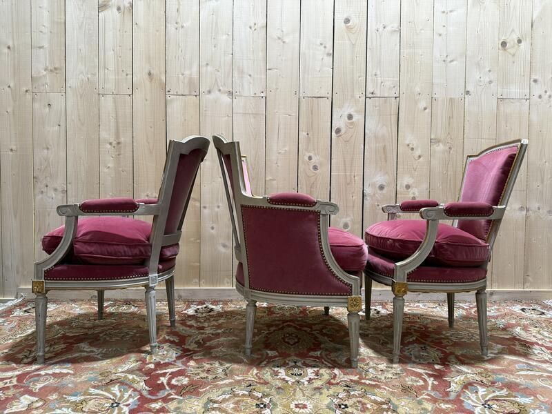 Paire De Fauteuils Et Bergère Et Style Louis XVI photo buy